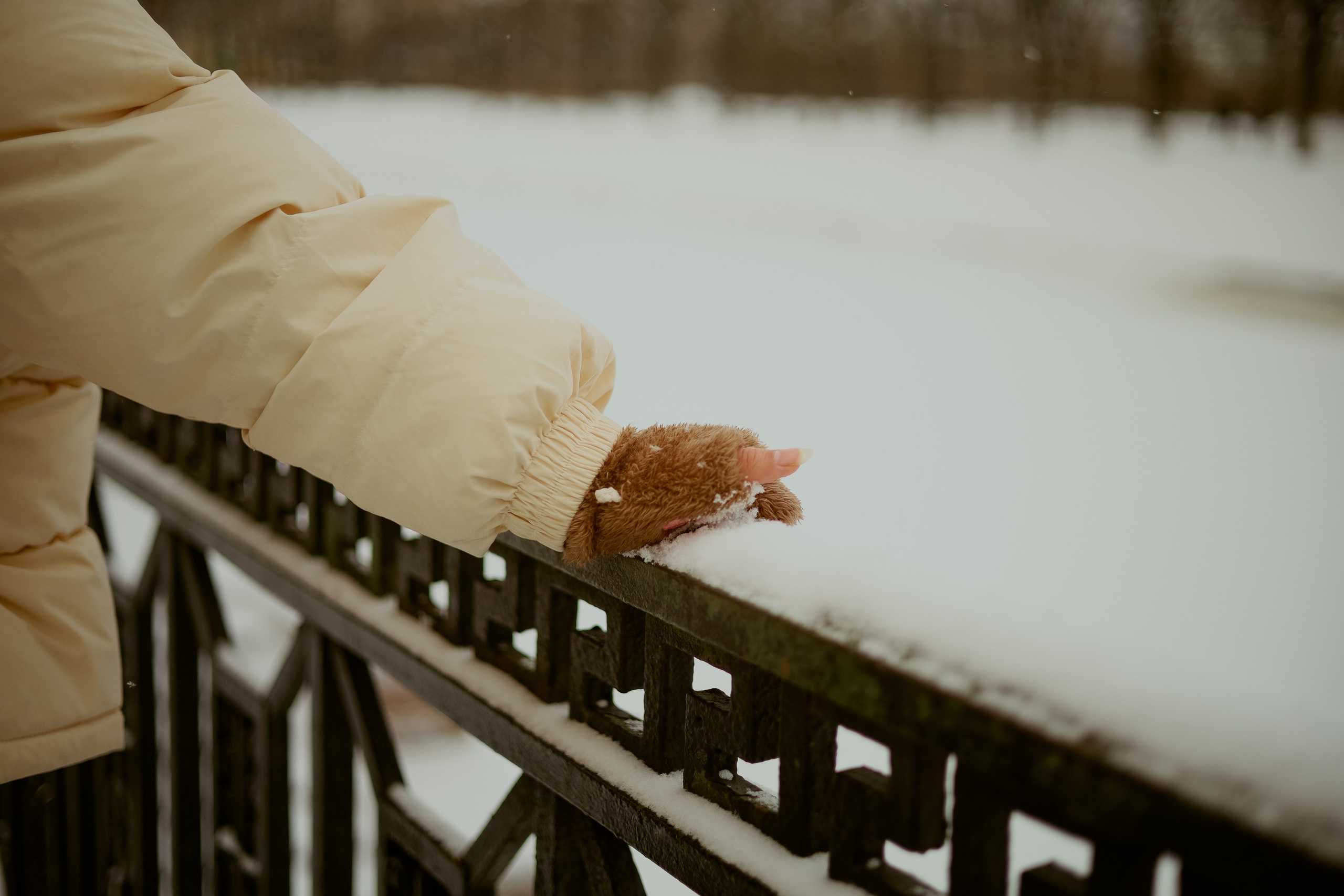 Зимняя прогулка. Главная