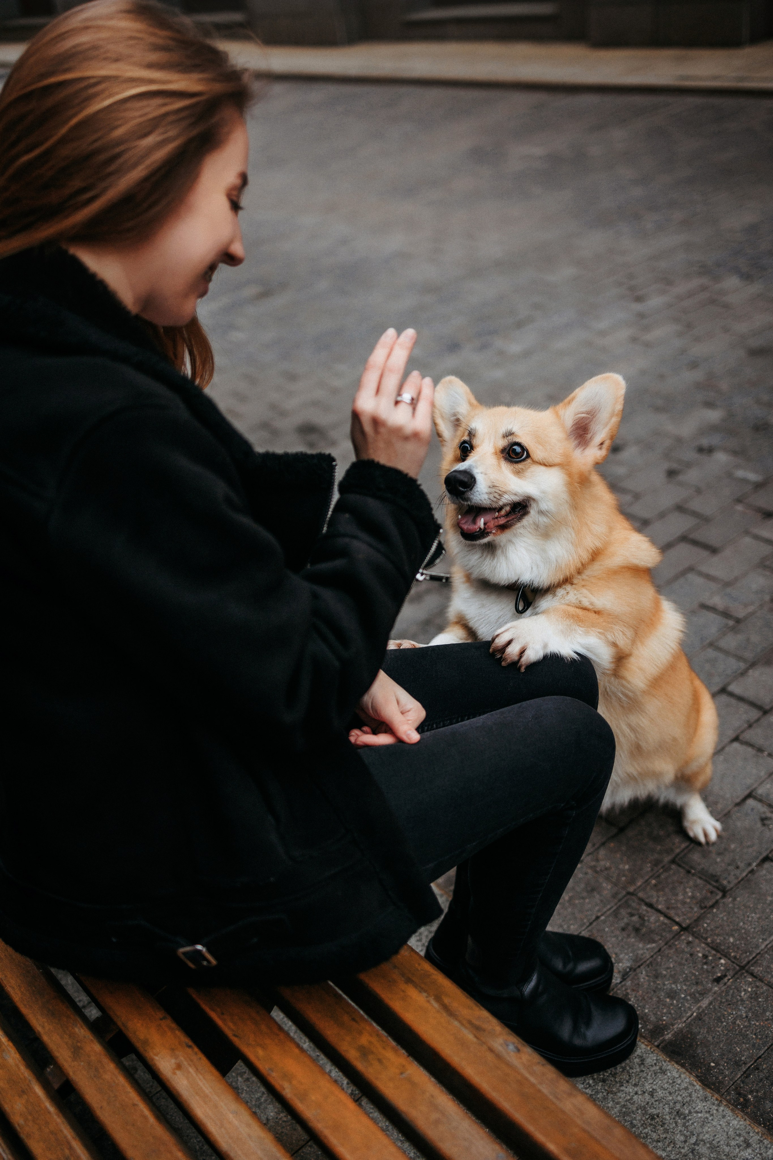 Вера, Саша и Муна. Фотограф-анималист Елена Радченко, Москва