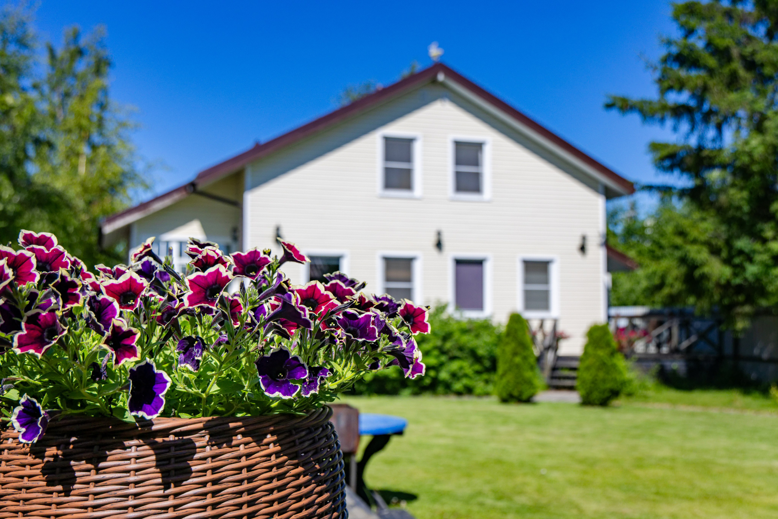 Гостевые дома «Уксунлахти» (деревня Ууксу). Аэросъемка. Фото и Видео в Карелии. Алексей Фрилунд
