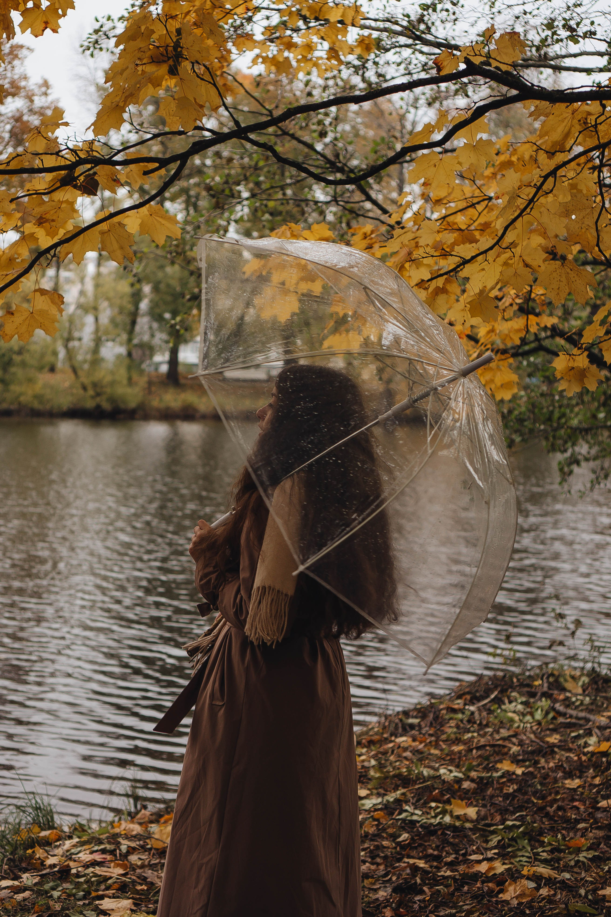 Осень. Профессиональный фотограф, Санкт-Петербург — Виктория Богомолова