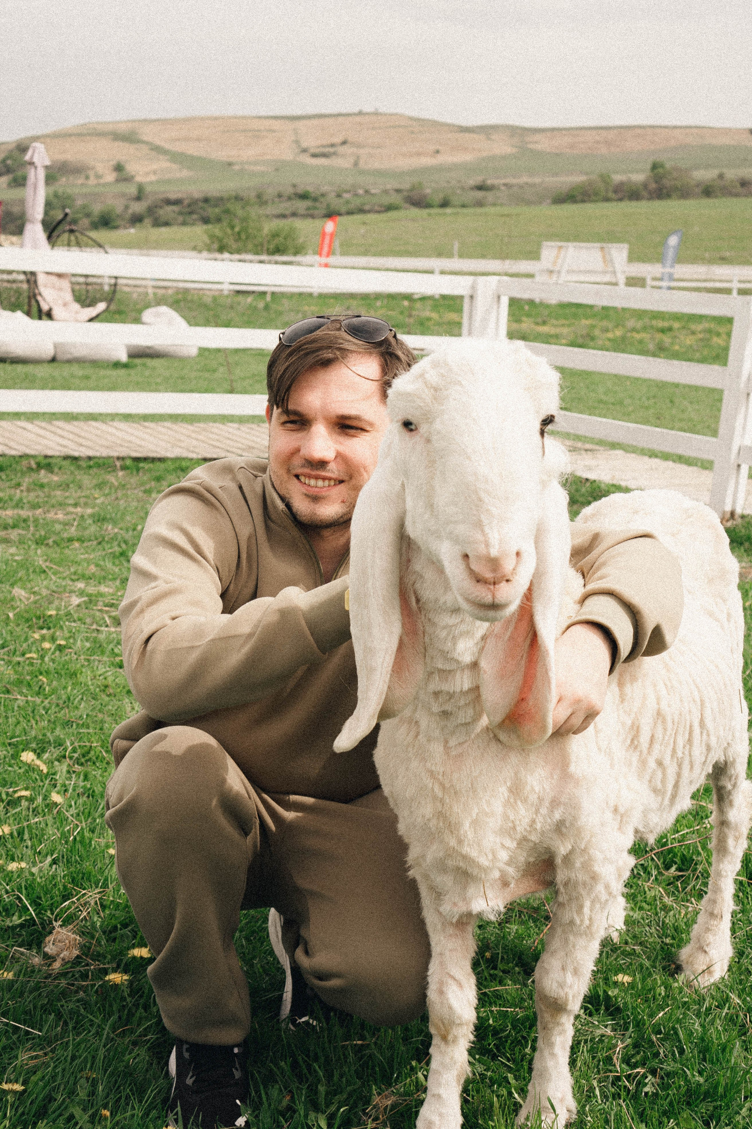 Ферма Альпак. Профессиональный фотограф, Санкт-Петербург — Виктория Богомолова