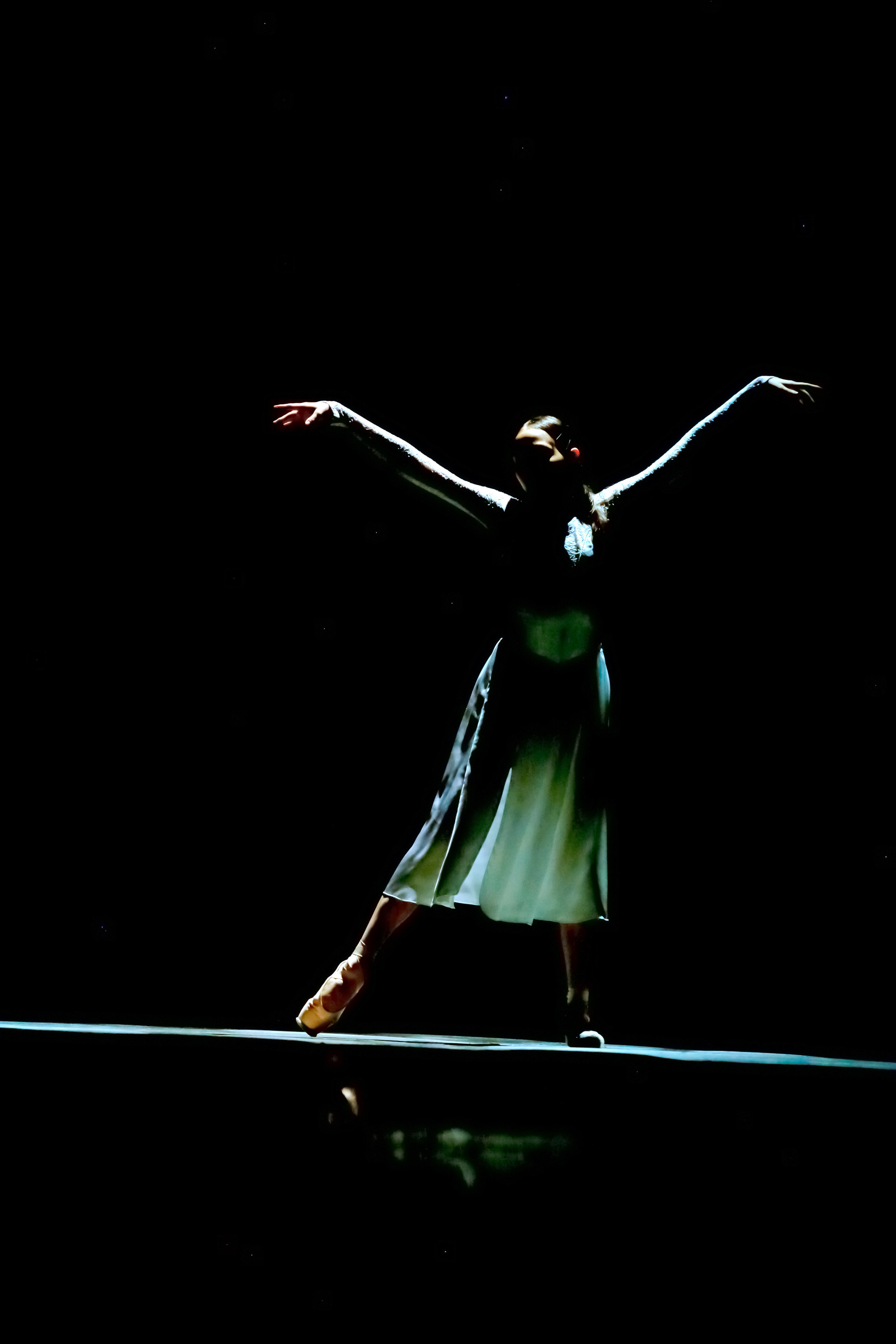 Гала концерт «Молодой балет Мира» Юрия Григоровича город Сочи. Фотограф в Сочи Юрий Шептаев