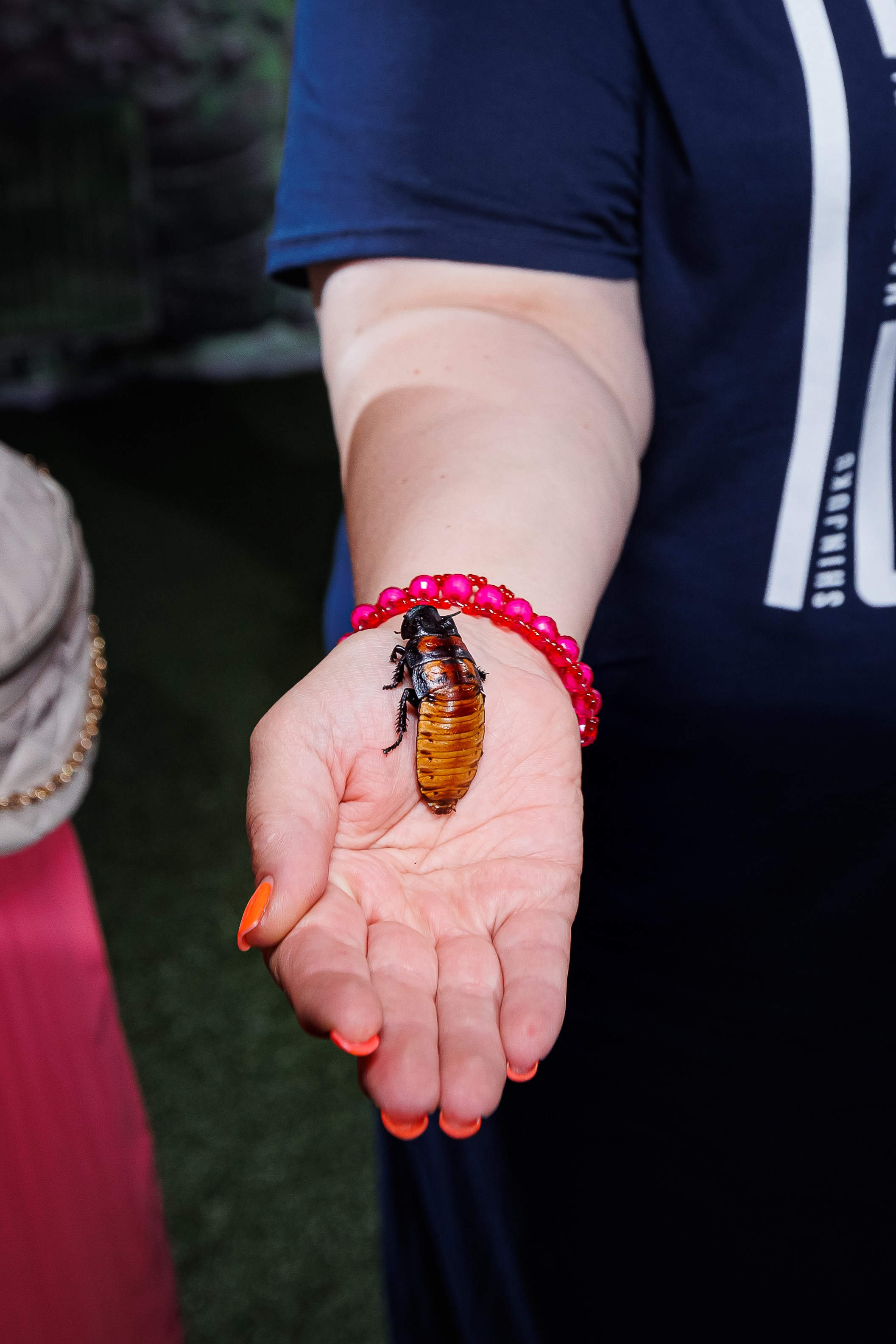 День рождения Полины и Егора «Джуманджи». Семейный и детский фотограф Комина Елена, Власиха, Одинцово