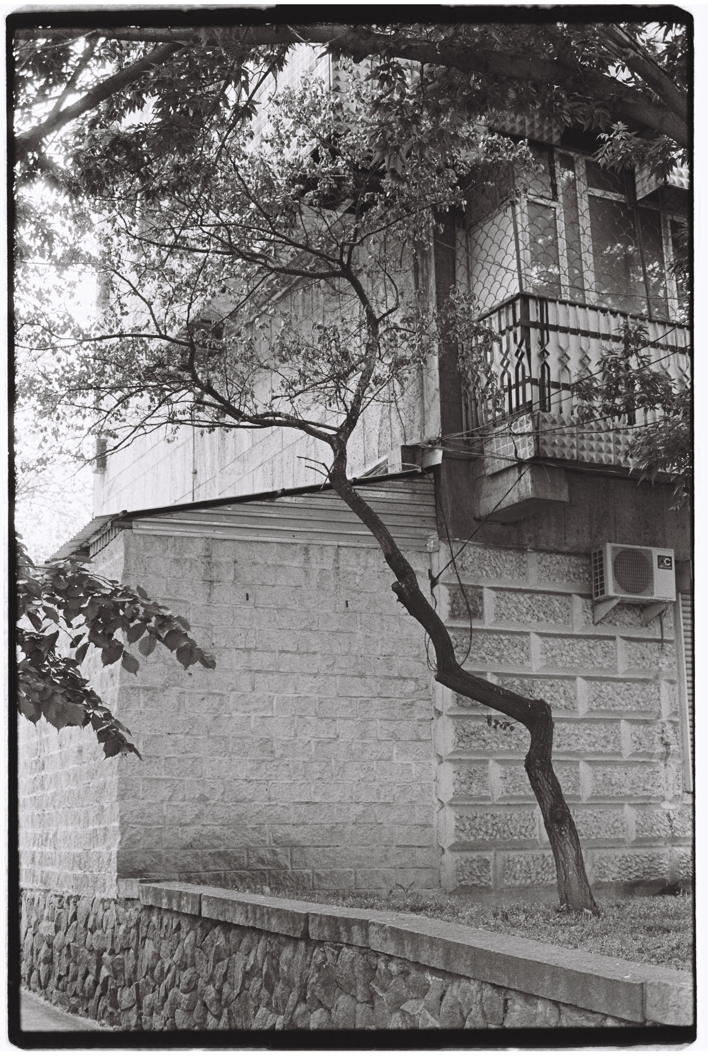 Almaty. Philipp Yelistratov