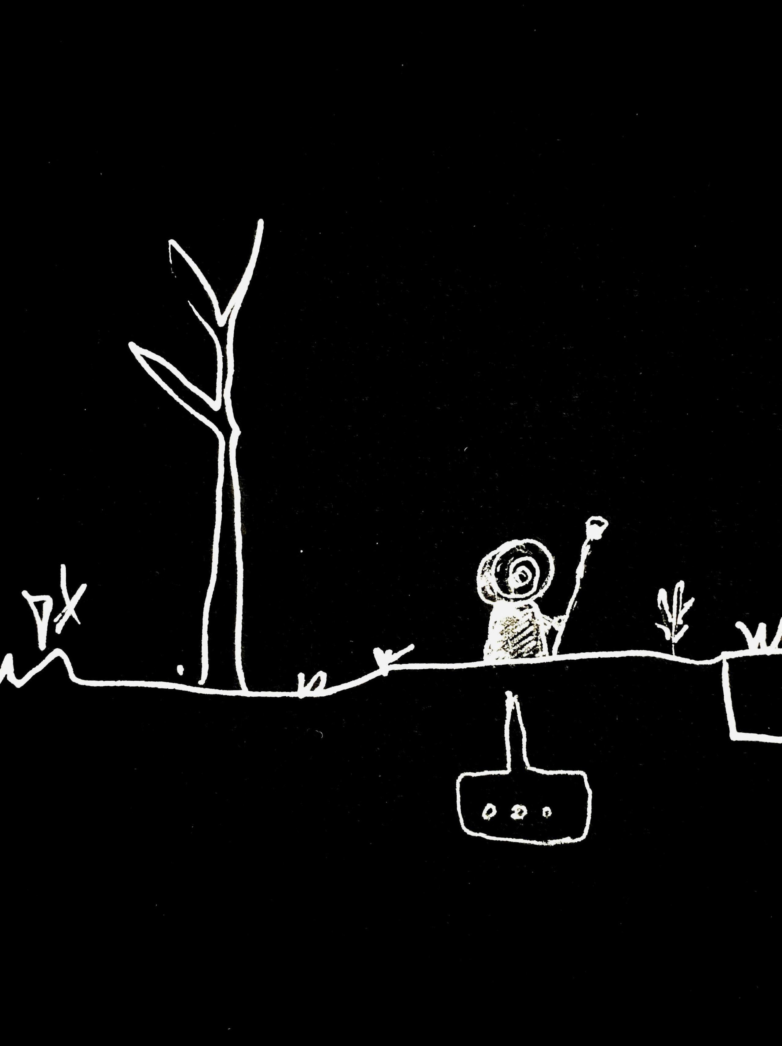 Storyboards & concepts