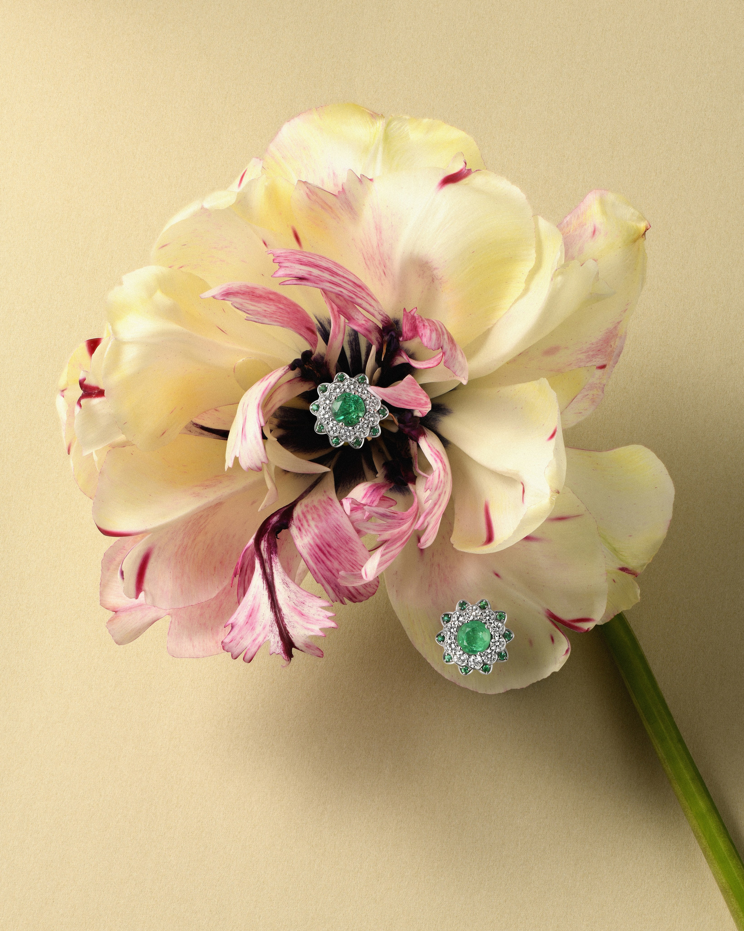 предметная фотосъемка ювелирных изделий