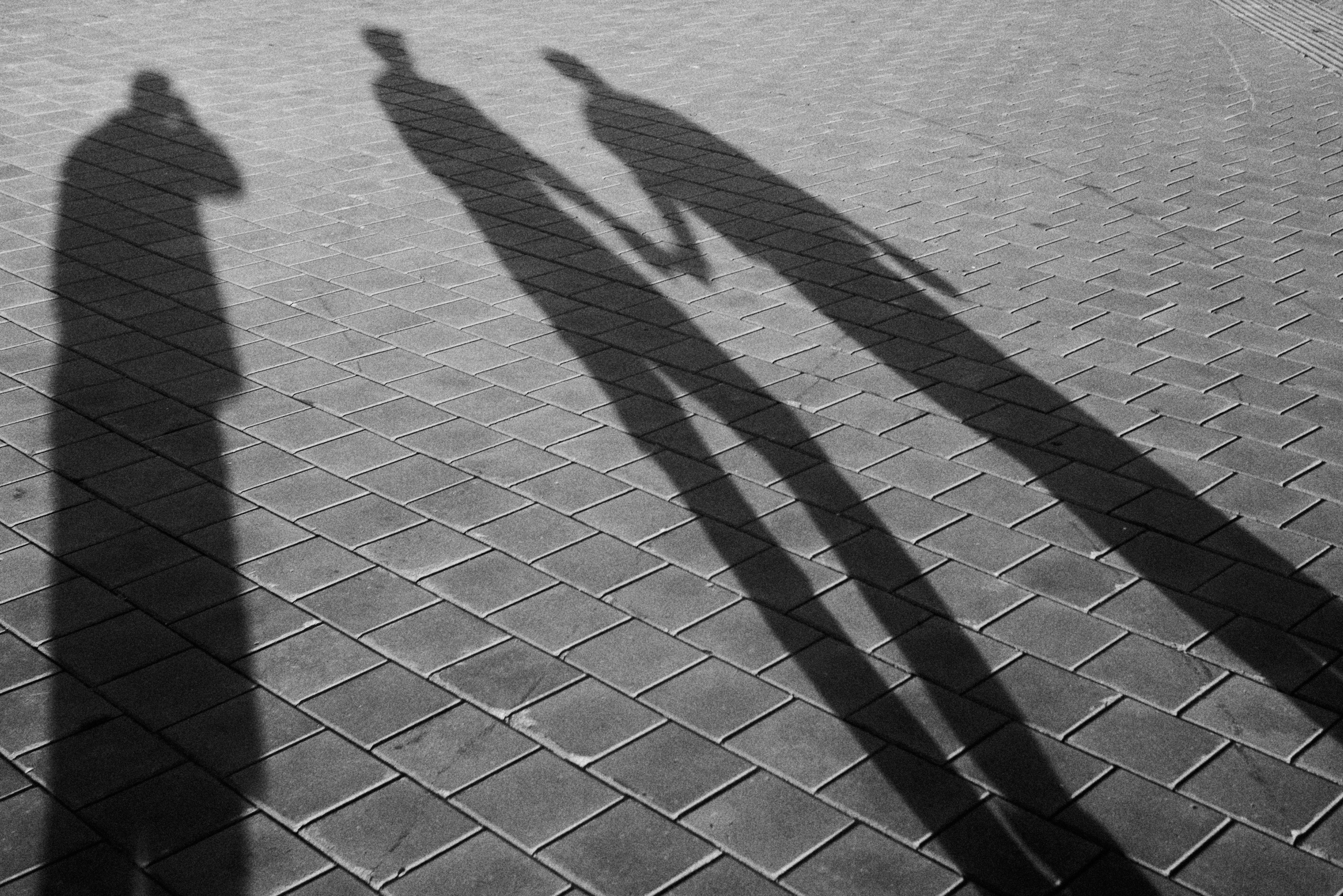 2024. Марфин. Фотограф