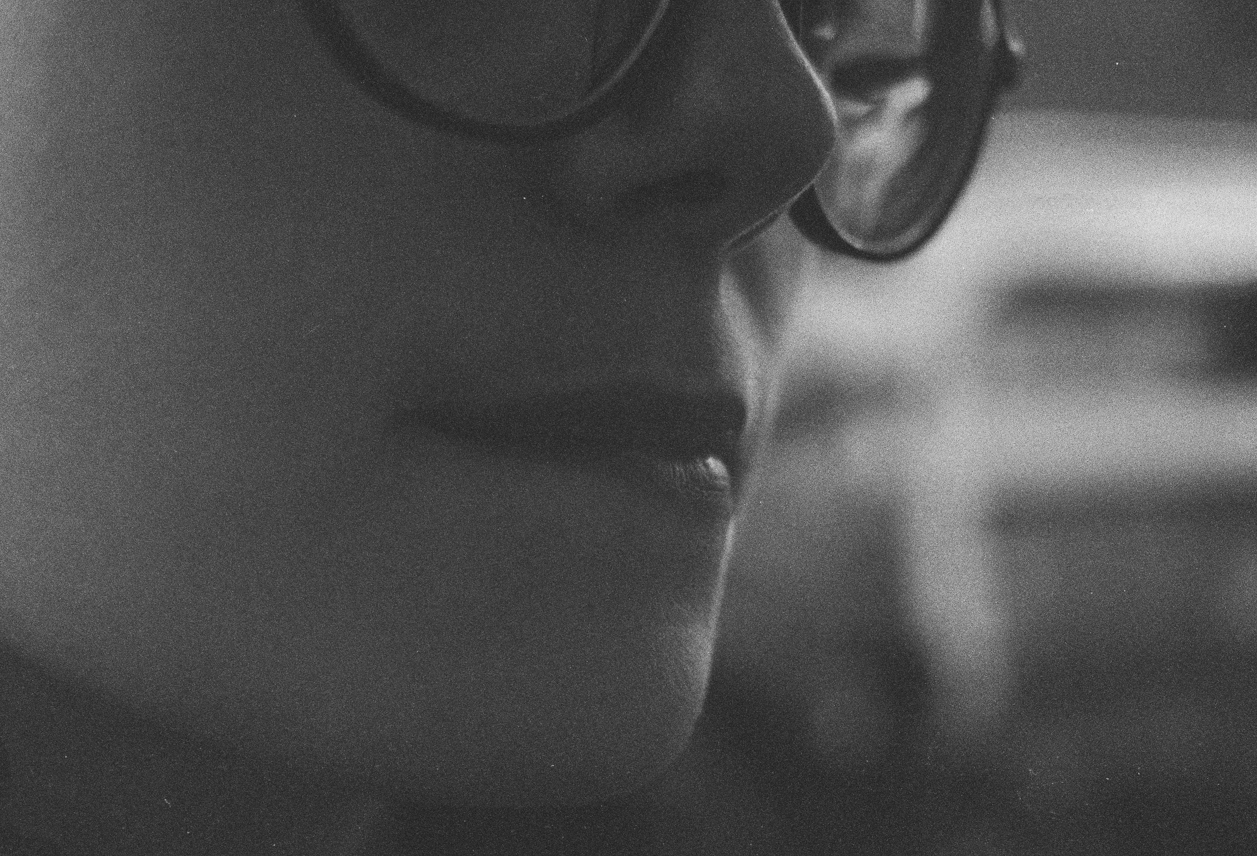 Split (35 mm film). Metelevphoto