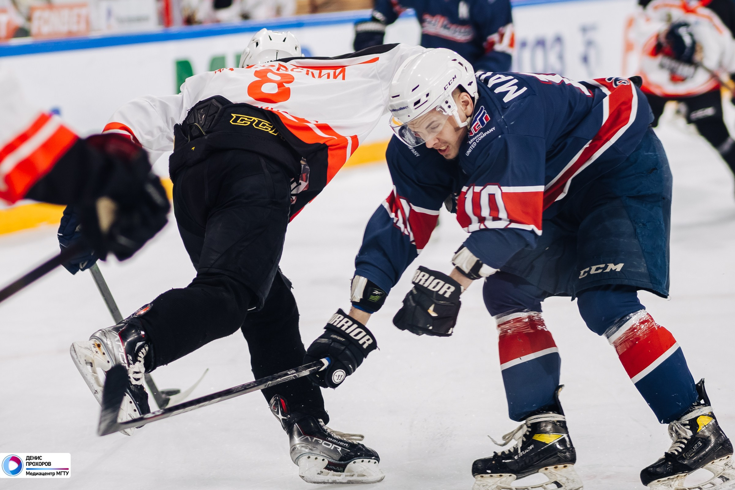 Чемпионат СХЛ // 04.02.2024. Денис Прохоров Фотограф в г. Магнитогорск