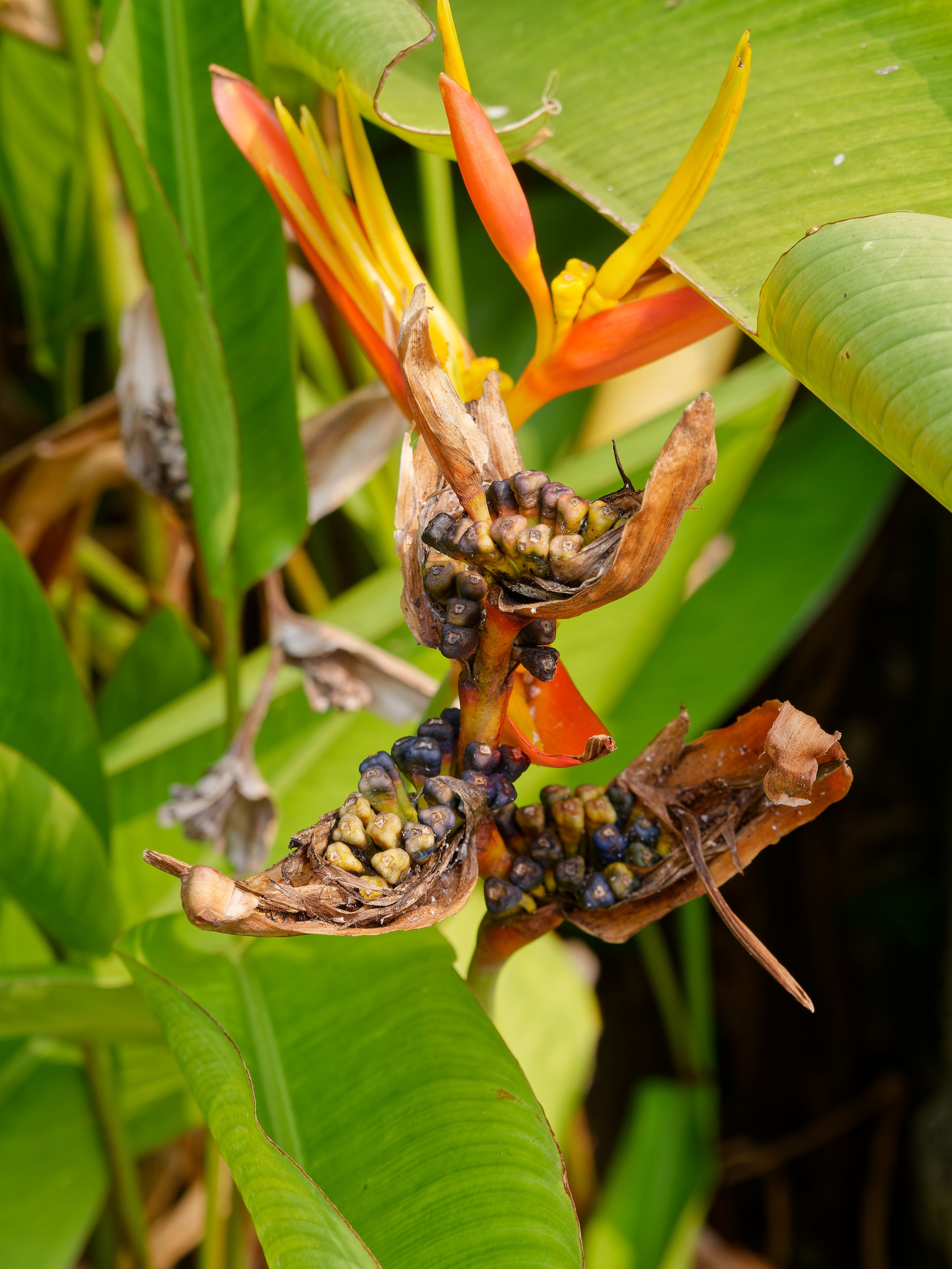 Хайнань 2026, первые впечатления. Фотопрогулки по Миру