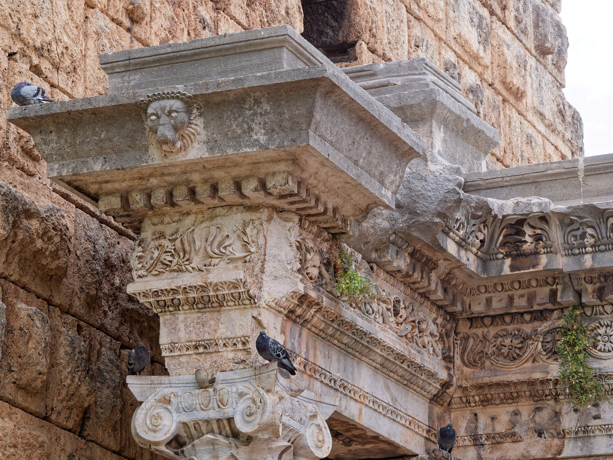 Анталия 2025, стрит-фото. Избранные фотографии