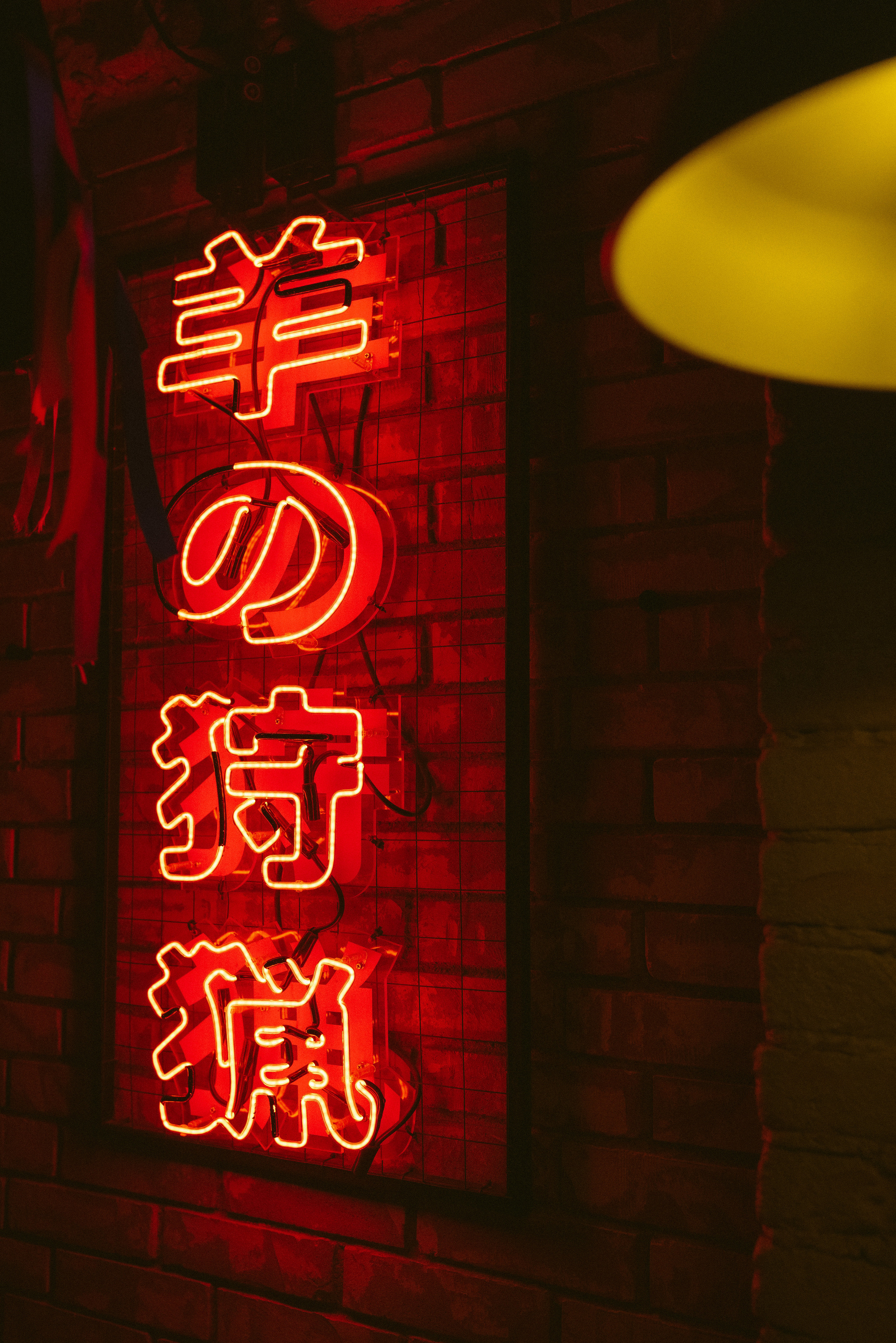 Фильм. Бэкстейдж. Профессиональный фотограф, Москва | Елена Павлова