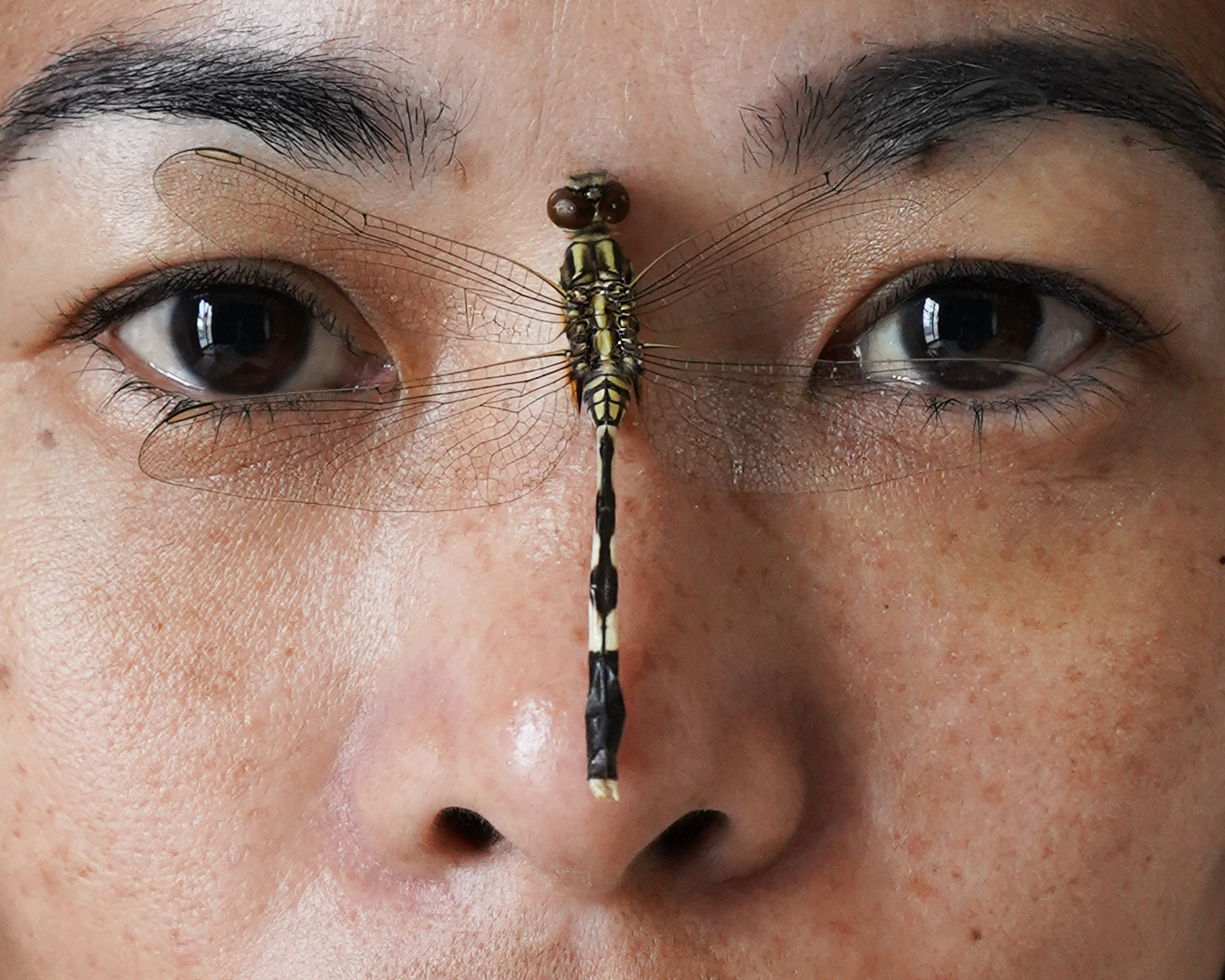 Portrait. Katyavasileva