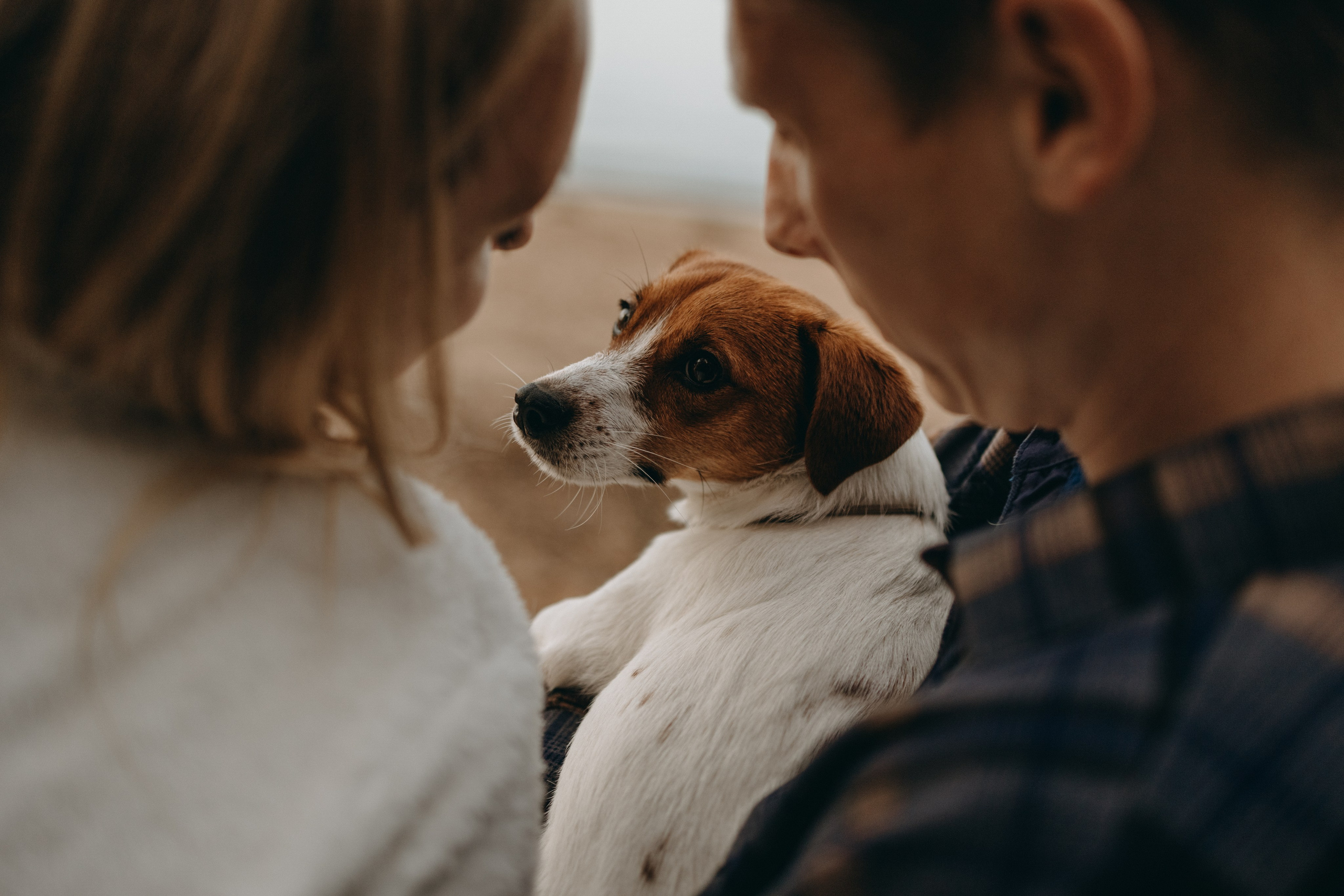 Лея и ее семья. Фотограф — Анималист | Санкт-Петербург