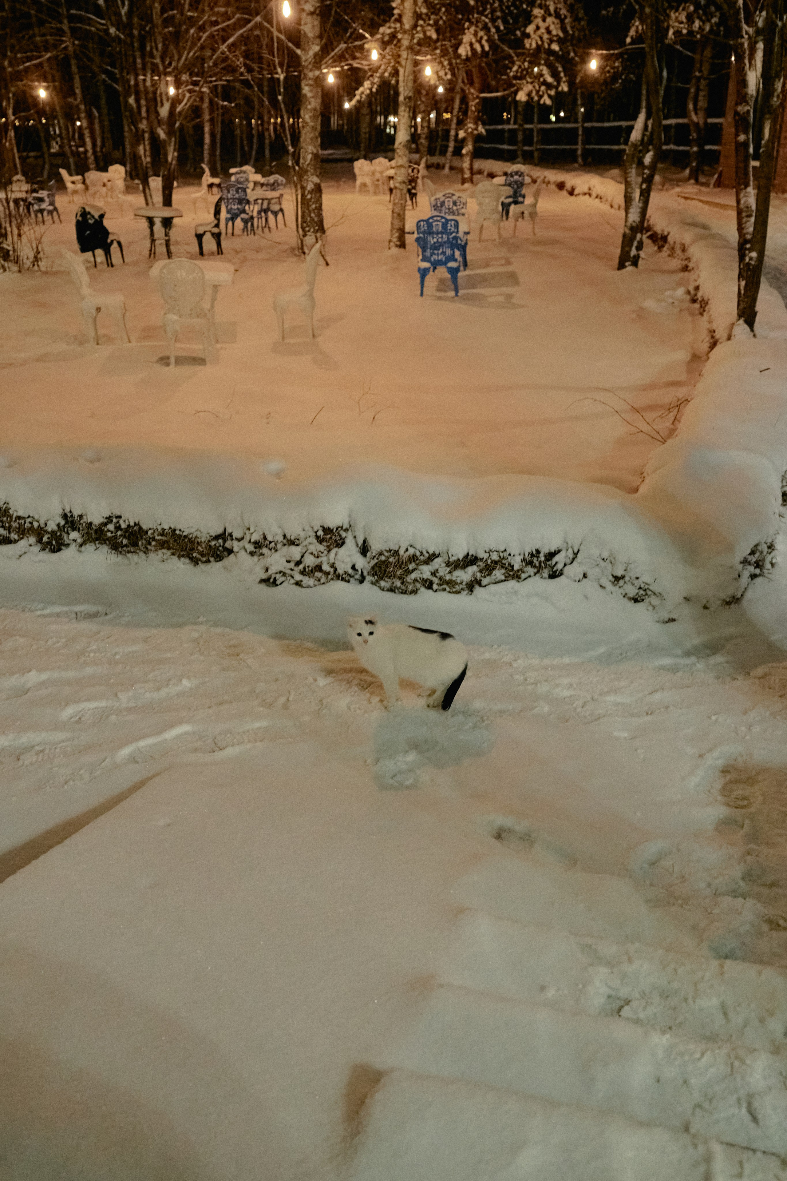 Бутик-отель Поле зимой. Профессиональный Фотограф во Владимире, в Москве и в Суздале — Полина Романычева