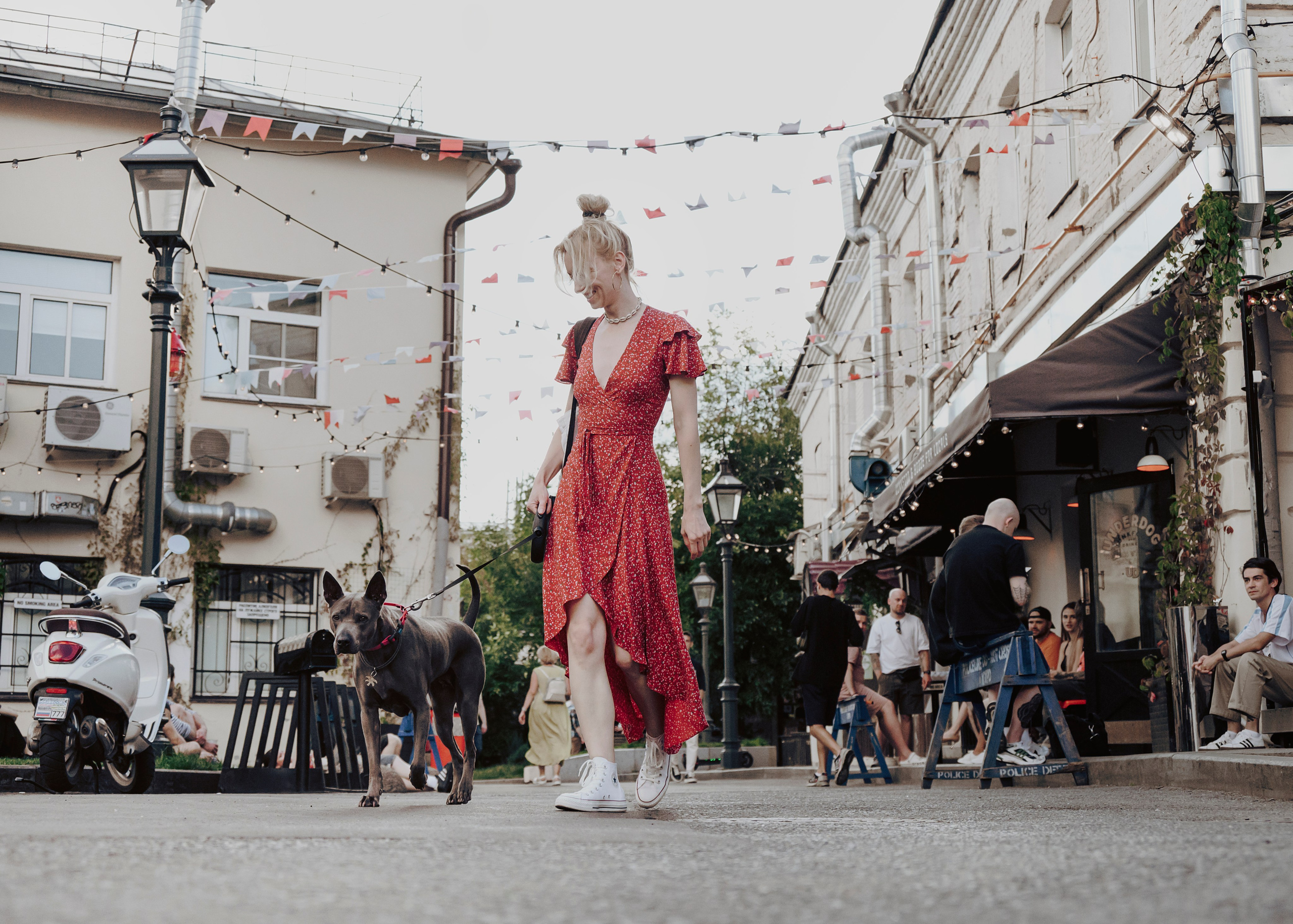 Шарма. Фотограф- анималист Александра Матвеева