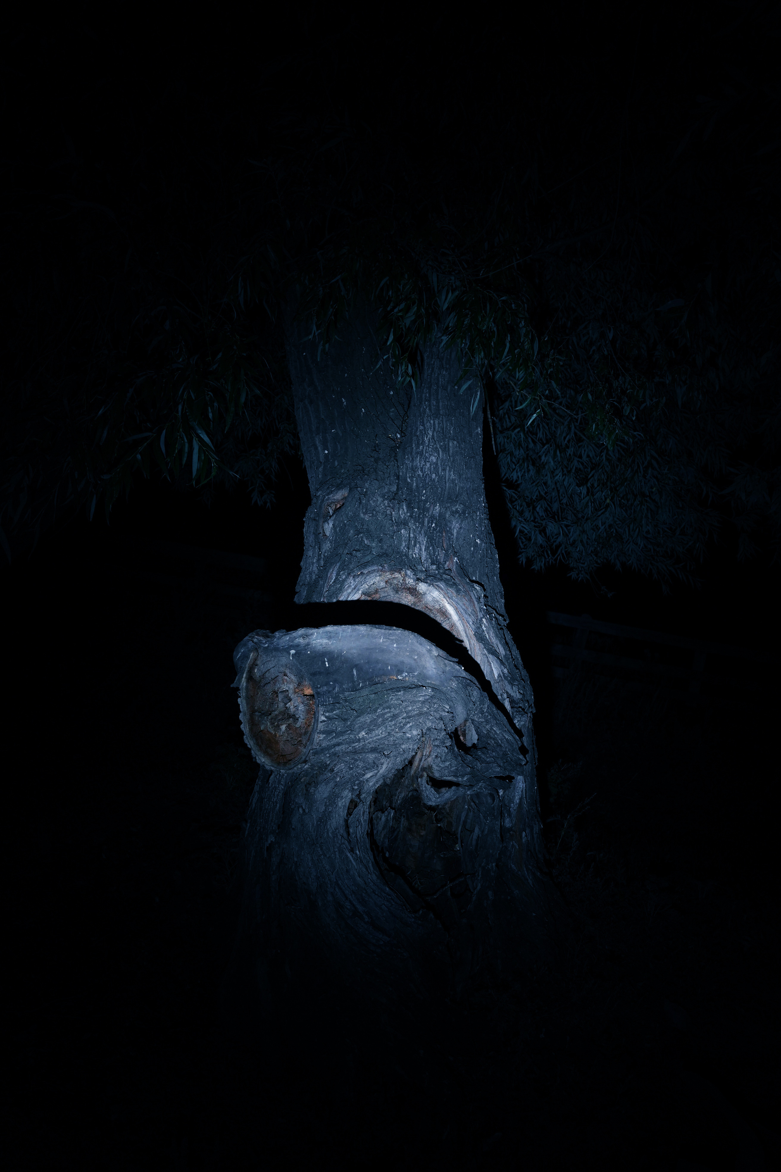 Прыжок в Пустоту. Margarita Khatmullina