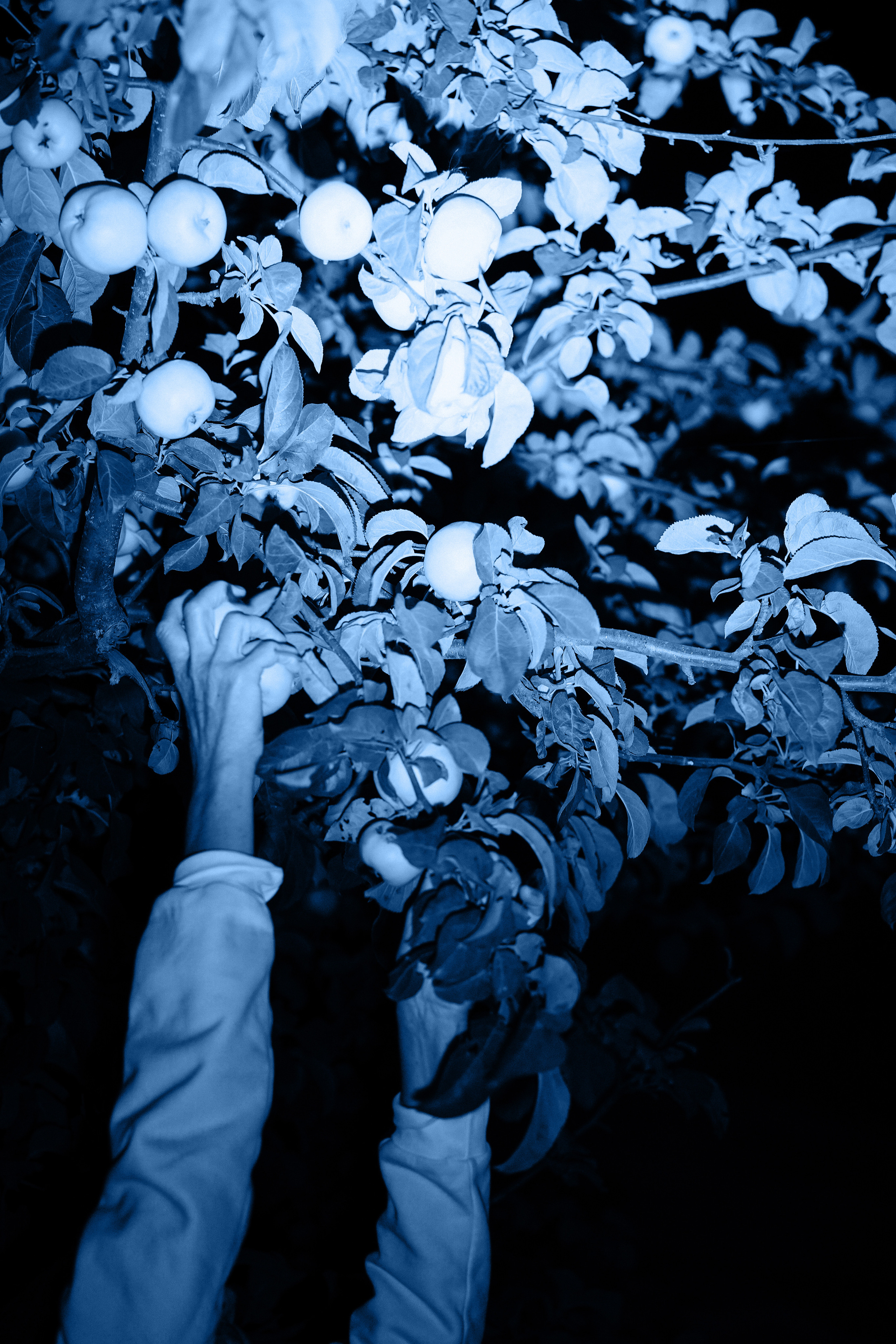 Прыжок в Пустоту. Margarita Khatmullina