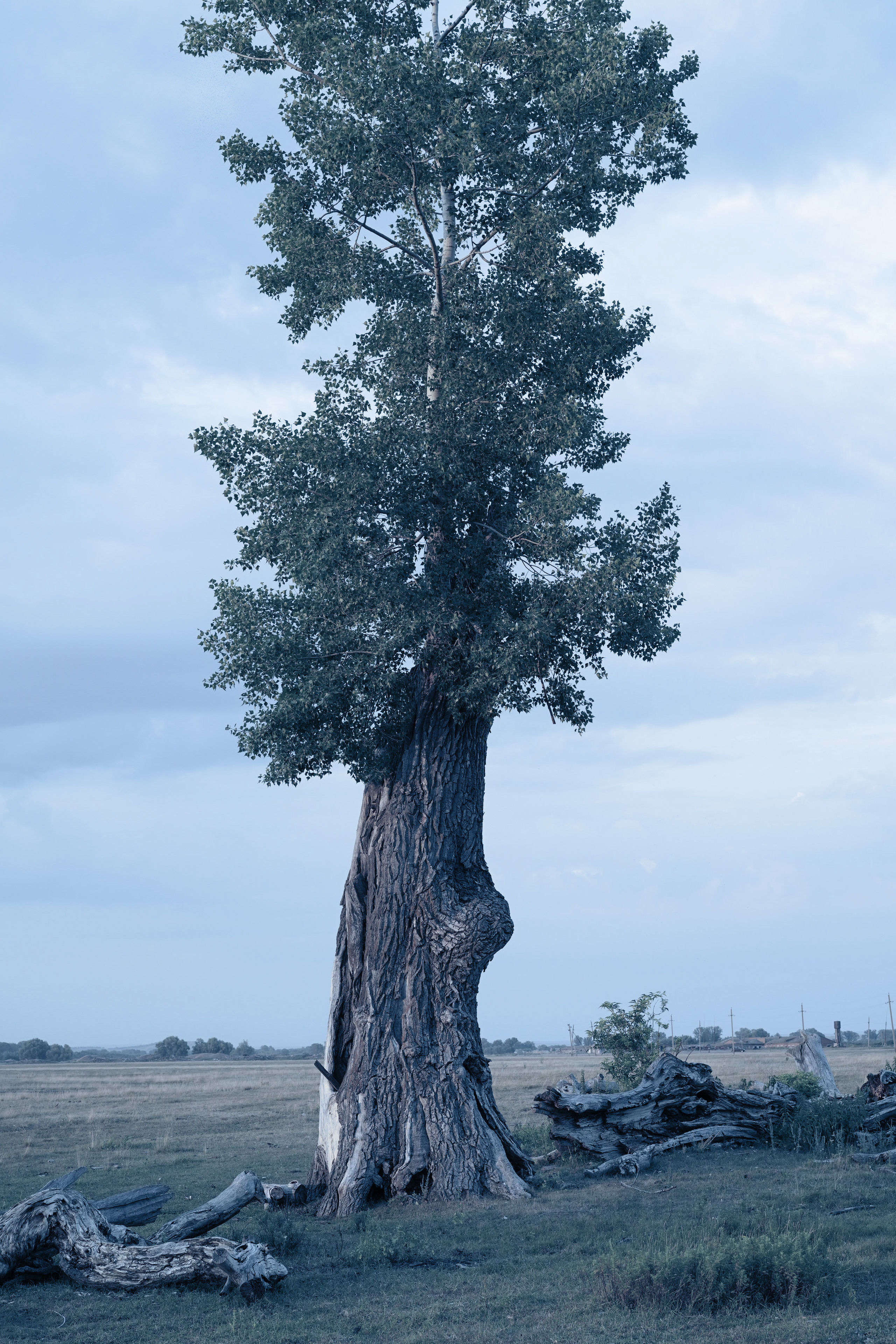 Прыжок в Пустоту. Margarita Khatmullina