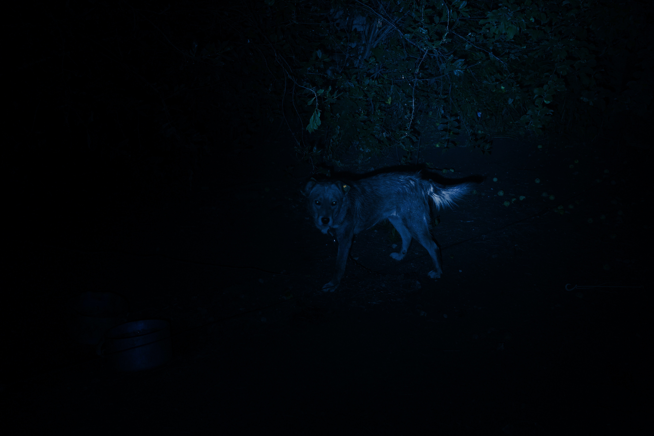 Прыжок в Пустоту. Margarita Khatmullina