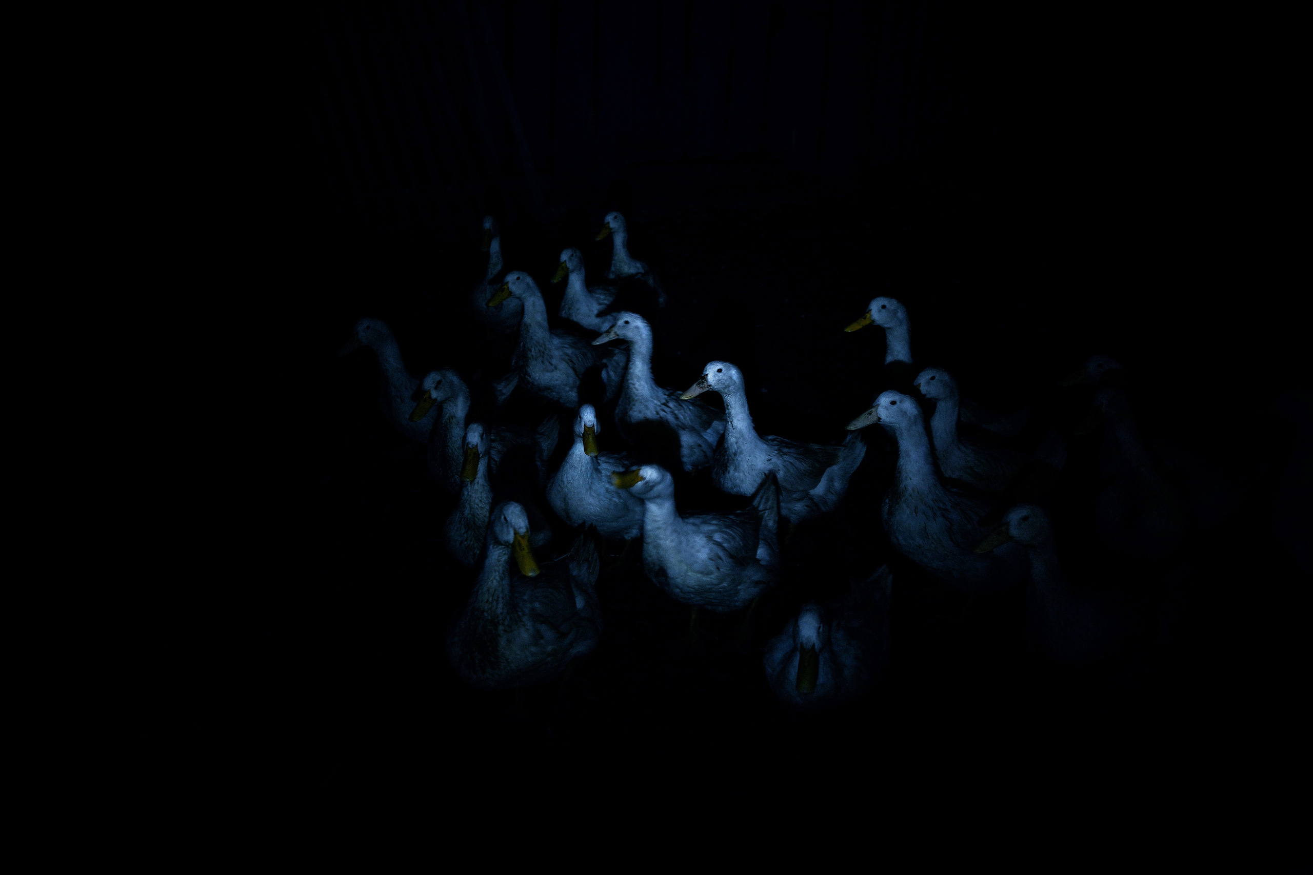 Прыжок в Пустоту. Margarita Khatmullina