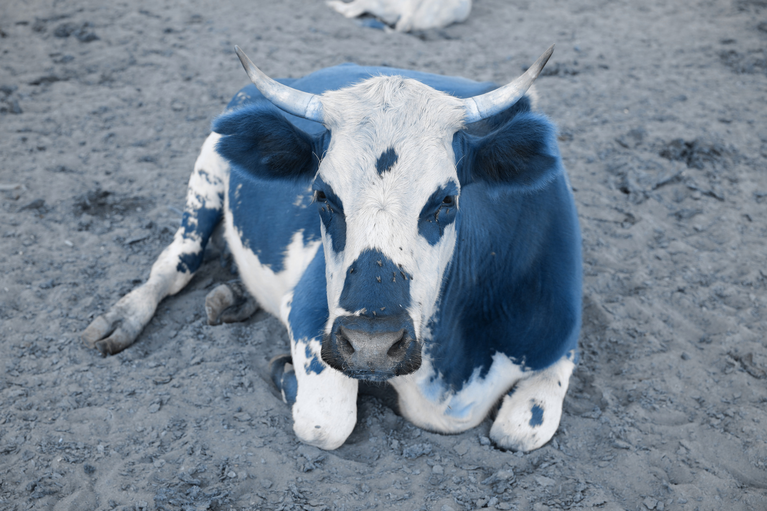 Прыжок в Пустоту. Margarita Khatmullina