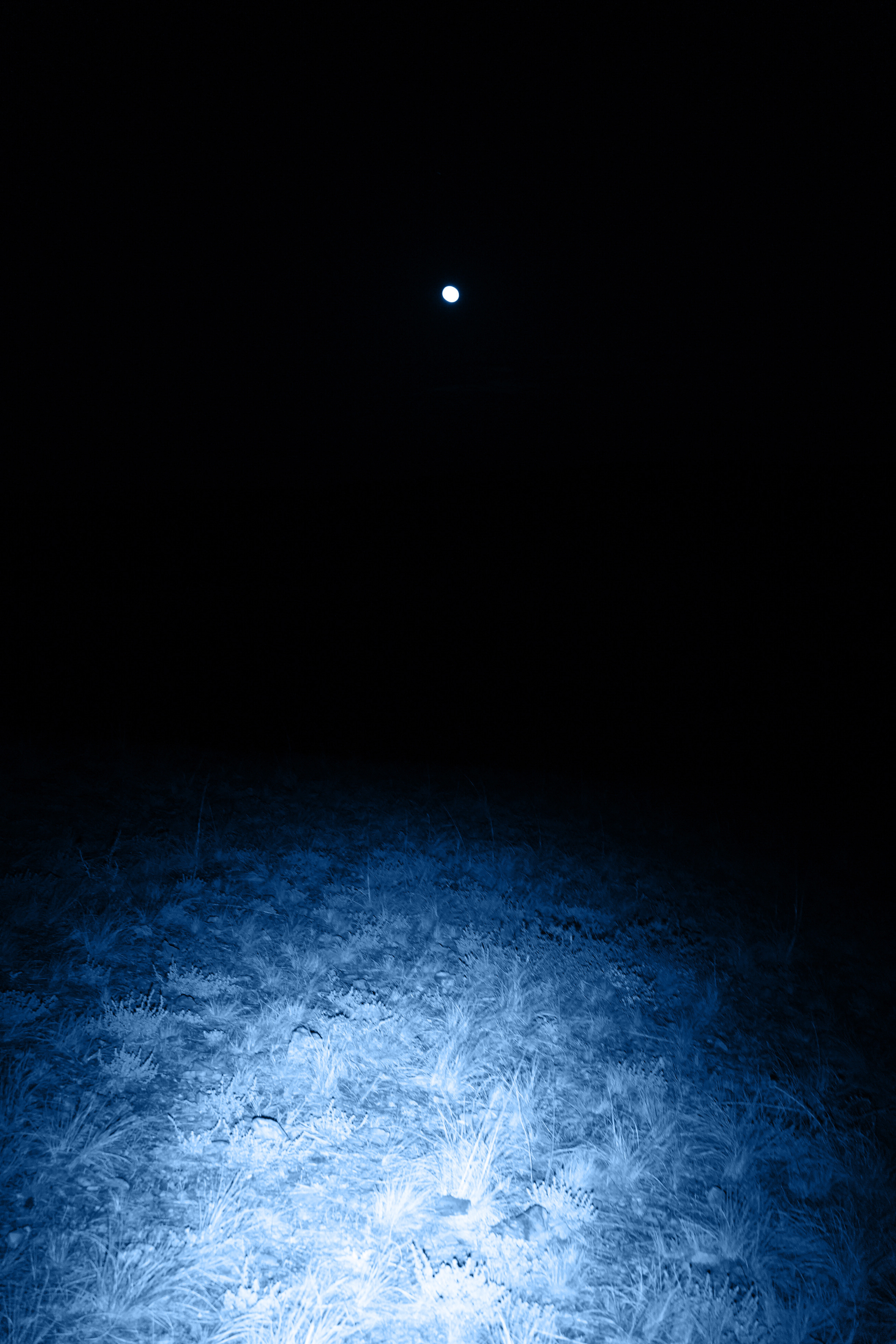 Прыжок в Пустоту. Margarita Khatmullina