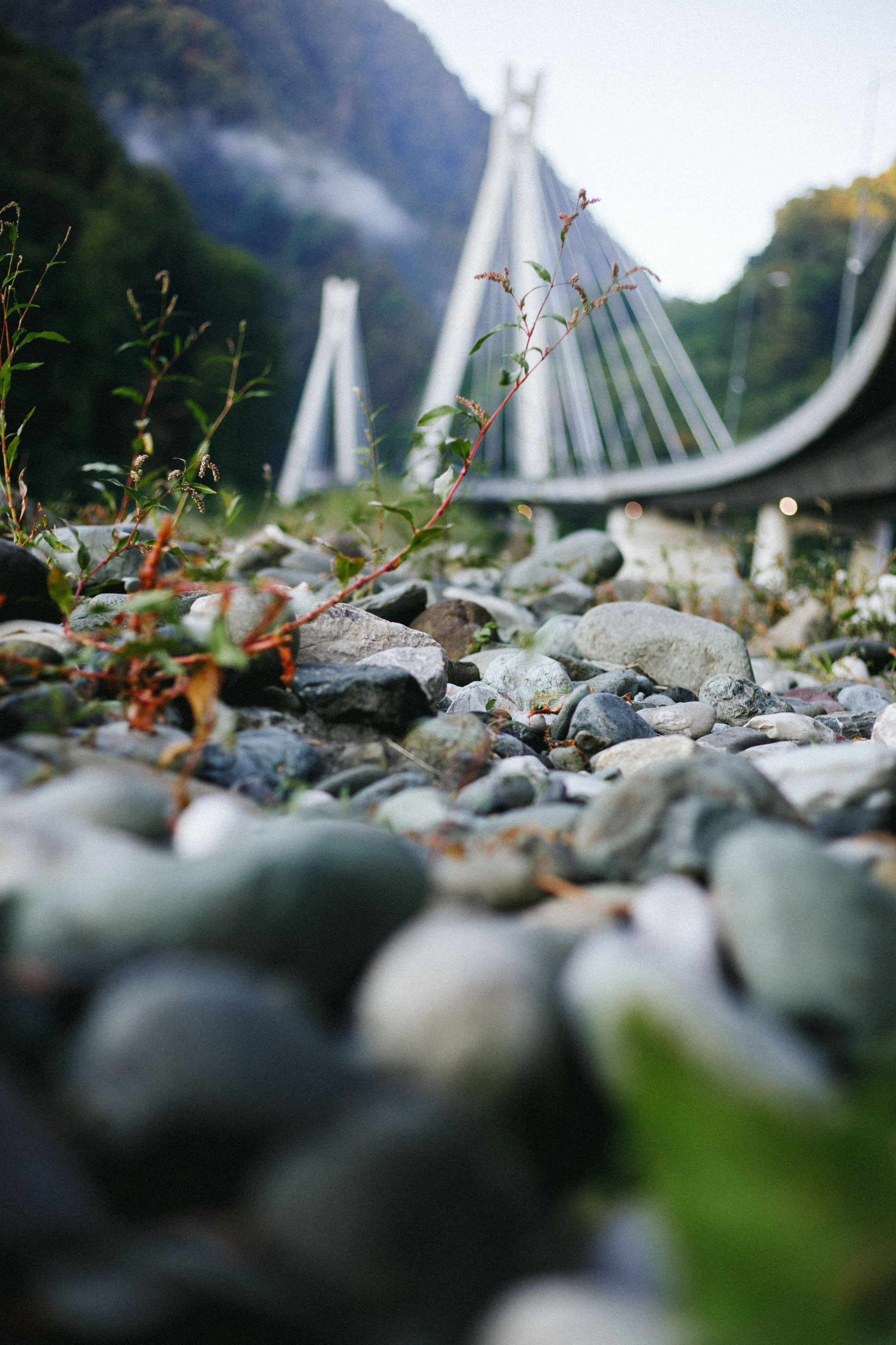 Surf Coffee. Максим Чернышев — фотограф