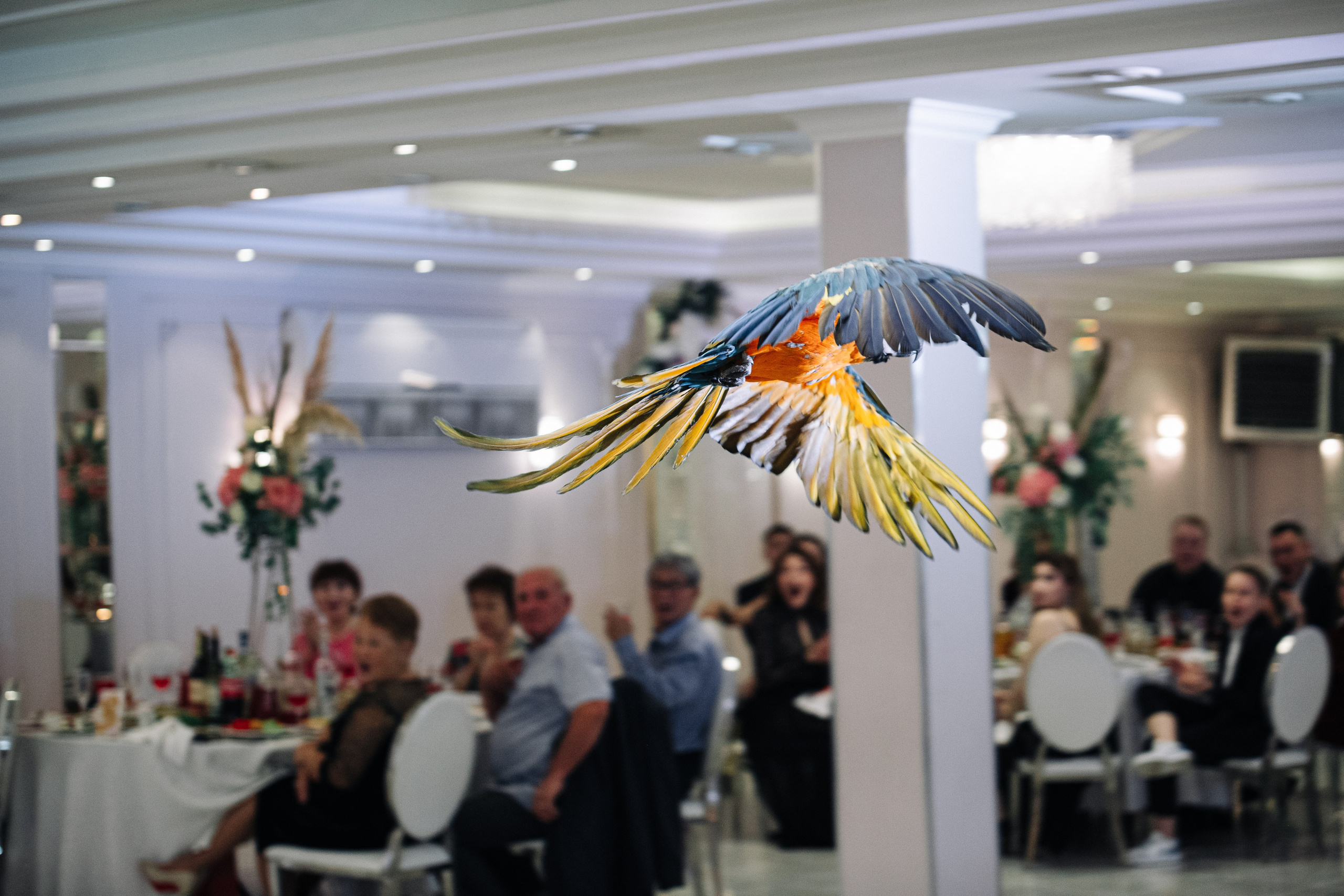 Андрей+Саша. Фотограф Анатолий Шестаков