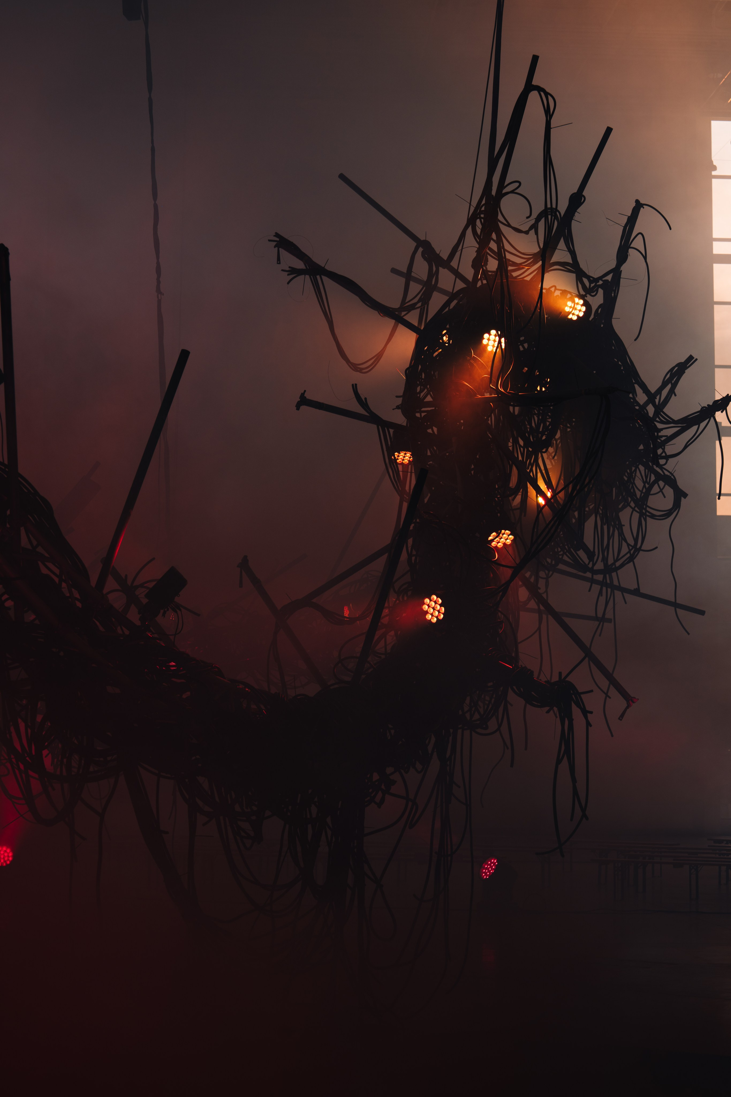 PANTERRA, CHRONOMORPH 001. @tomrus: Рустам Шагиморданов — фотограф