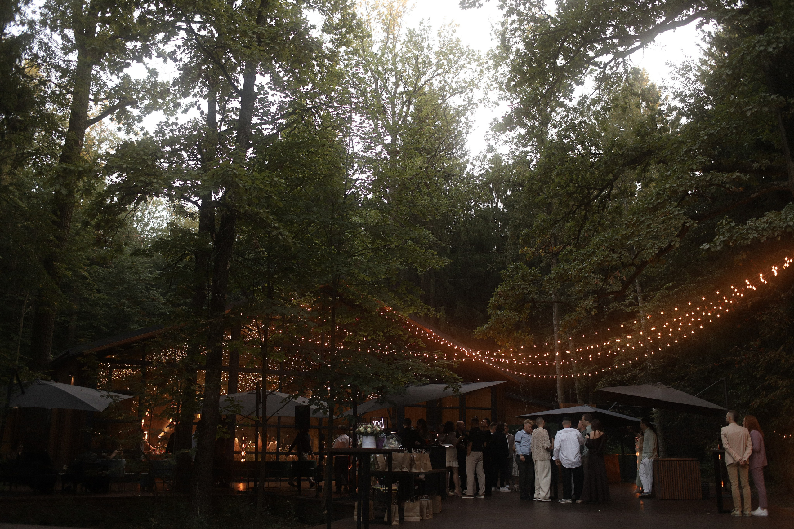 Елена и Марк. Фотограф Москва, Чехов Цыкоза Алина