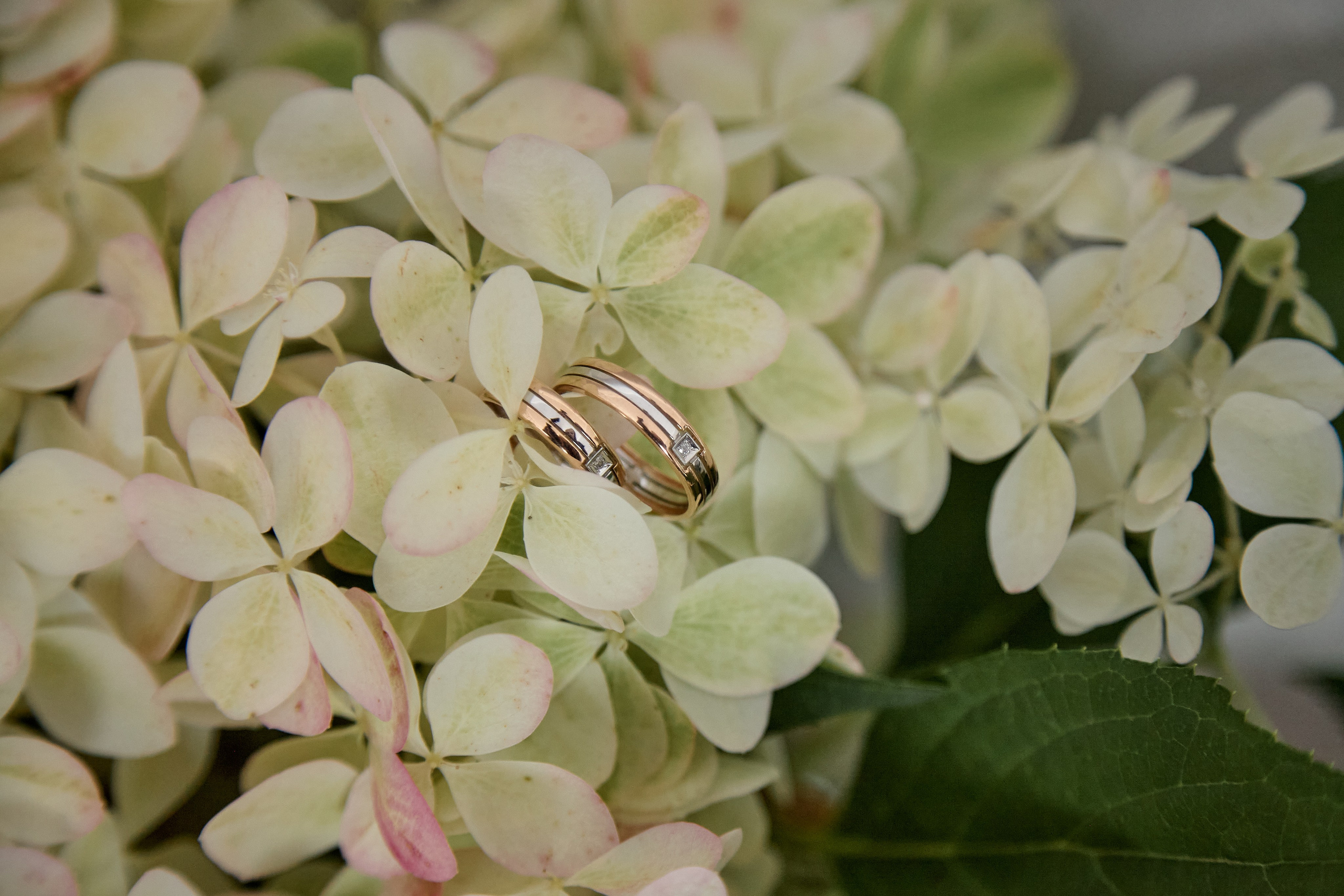 Данил & Кристина. Фотограф|Ретушер| Екатерина Гришанова|Челябинск