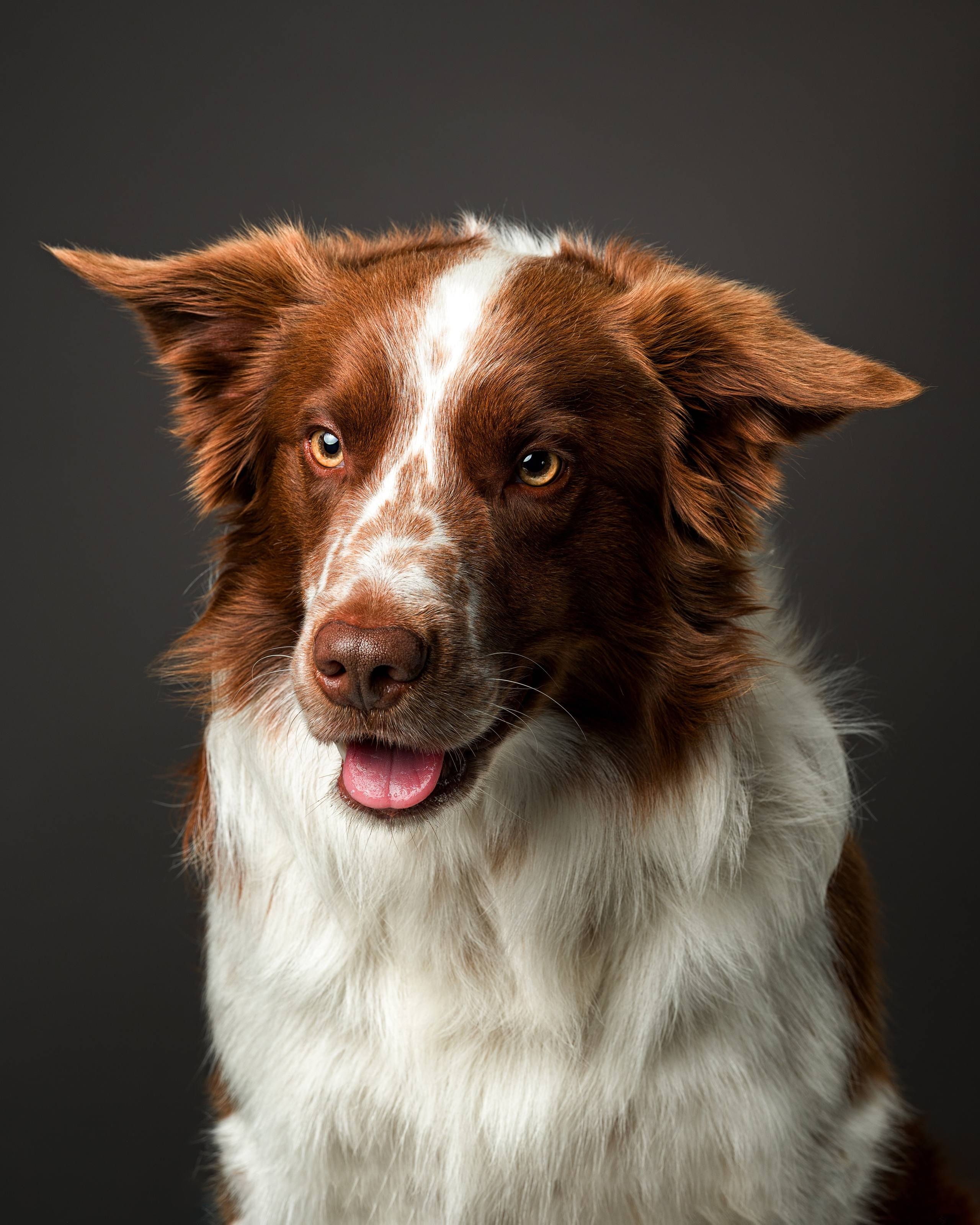 Студийные съемки. Портретный фотограф в Челябинске Катерина Руди