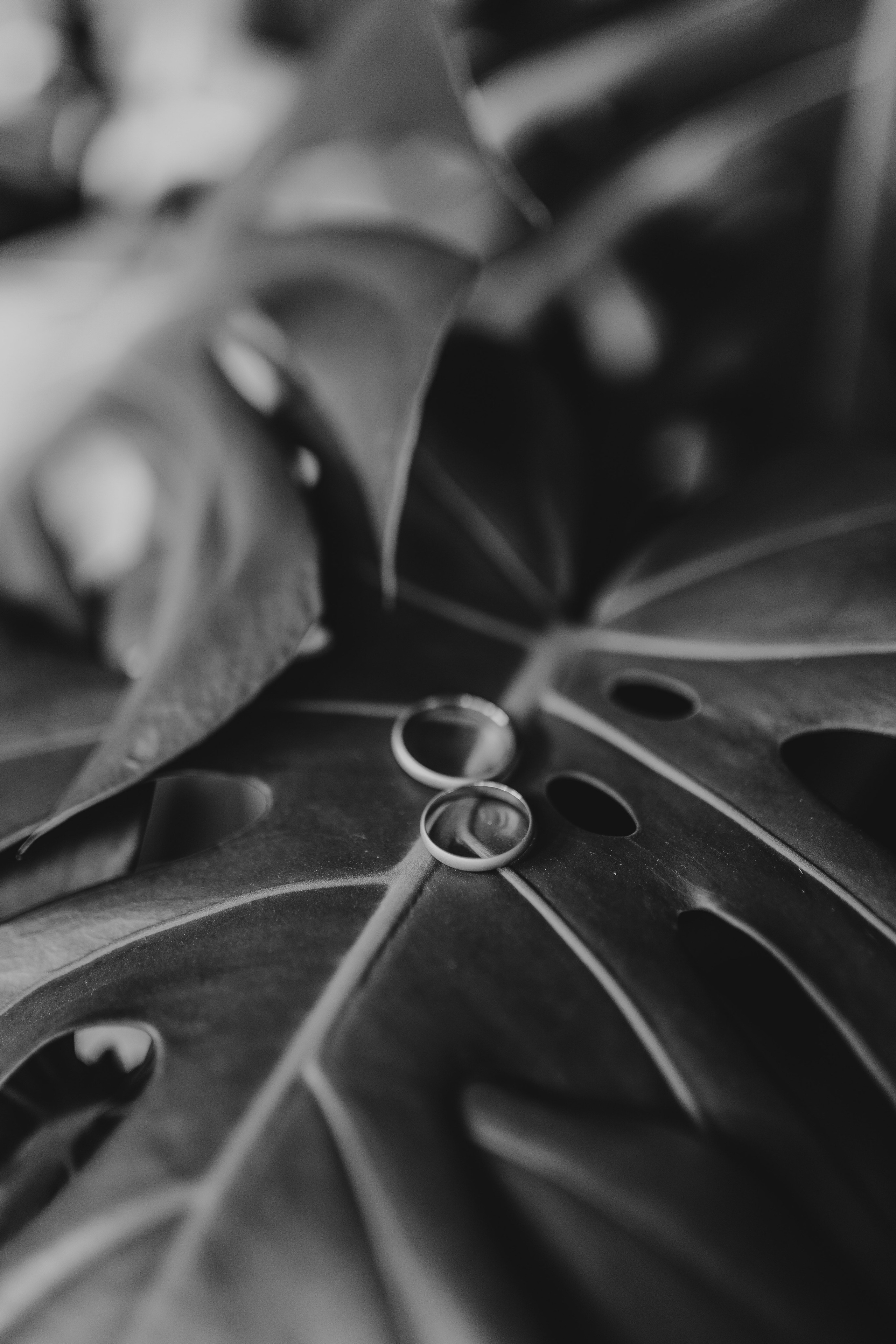 Wedding day 29.06.24. Свадебный фотограф в Санкт-Петербурге