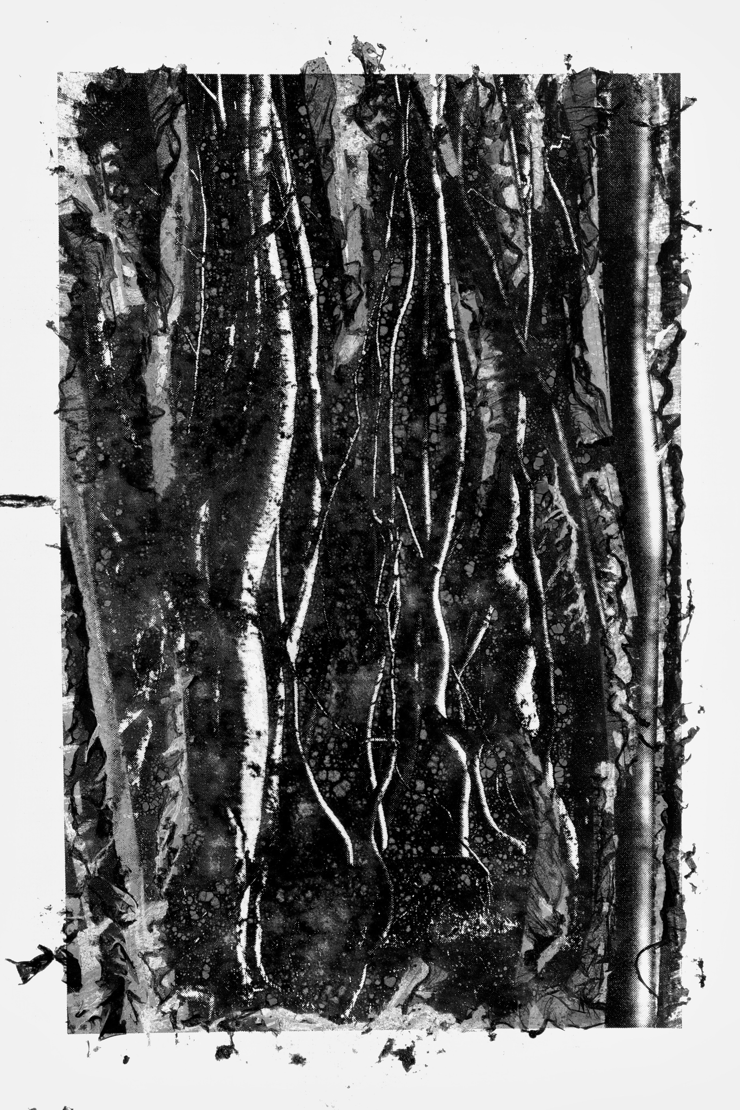 Boundaries of reality. Irina Borodina