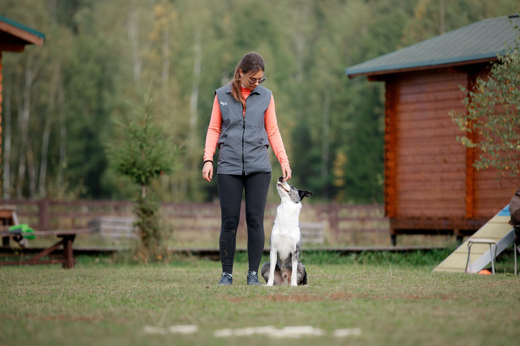 Лагерь по ОБД с Инной Баженовой. Фотограф-анималист Mary Mart — Москва, Питер