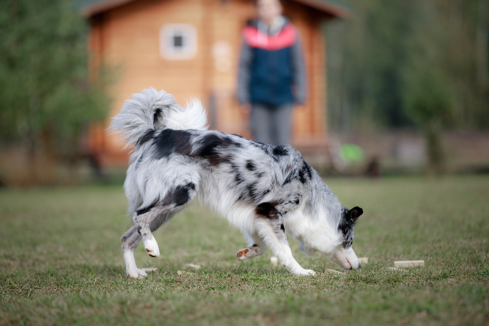 Лагерь по ОБД с Инной Баженовой. Фотограф-анималист Mary Mart — Москва, Питер