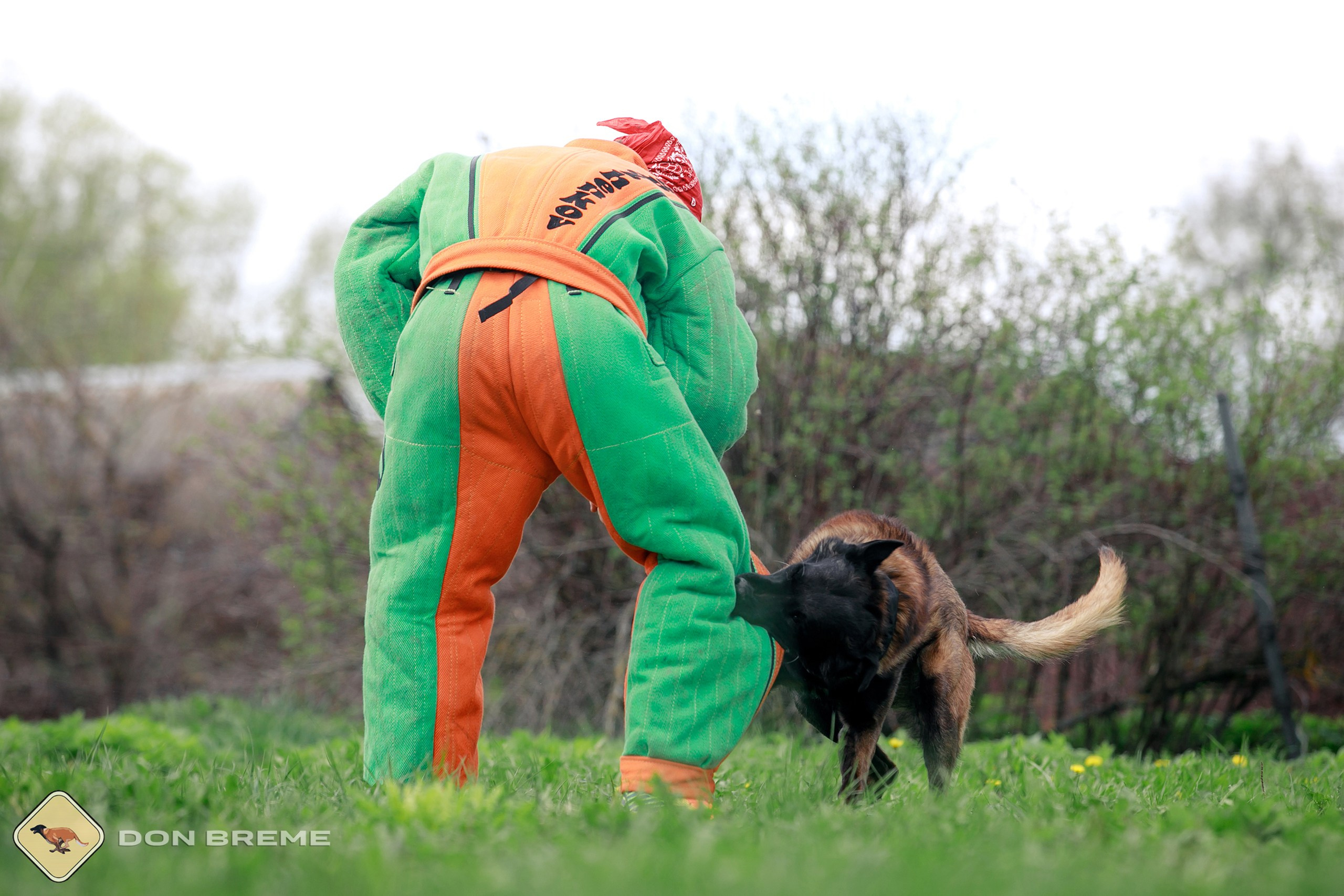 Семинар для фигурантов, день 2. Фотограф-анималист Mary Mart — Москва, Питер