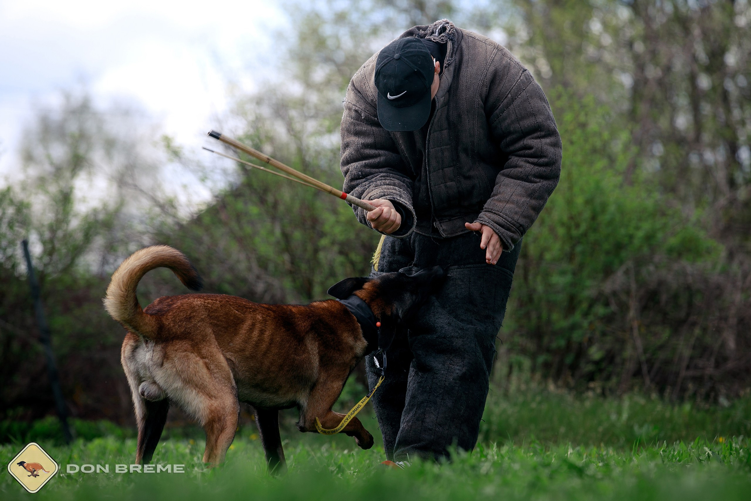 Семинар для фигурантов, день 2. Фотограф-анималист Mary Mart — Москва, Питер