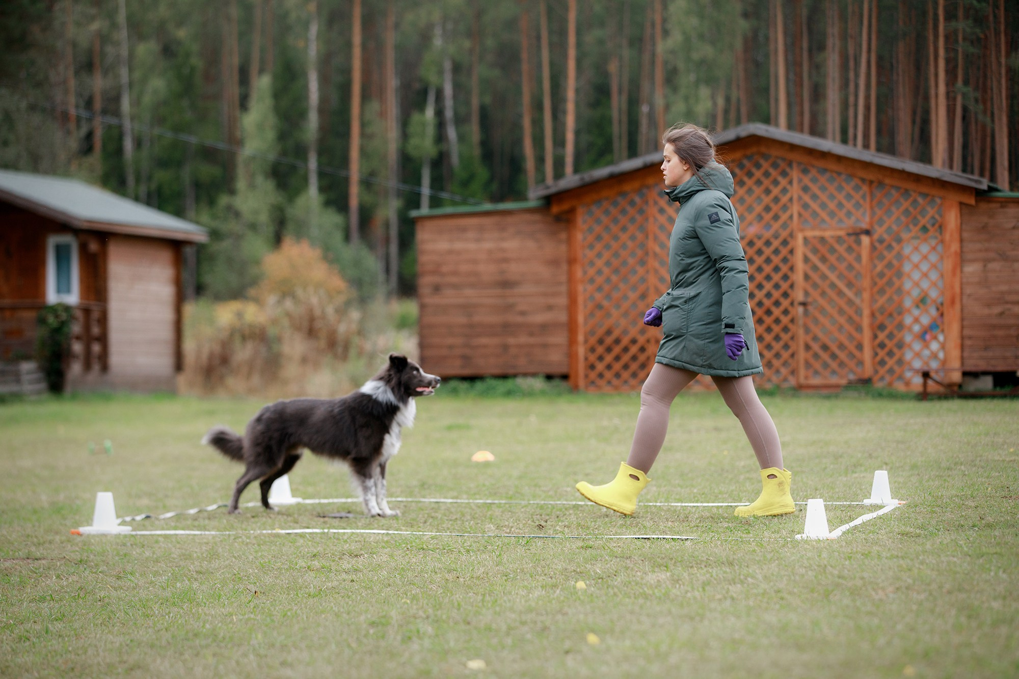 Лагерь по ОБД с Инной Баженовой. Фотограф-анималист Mary Mart — Москва, Питер