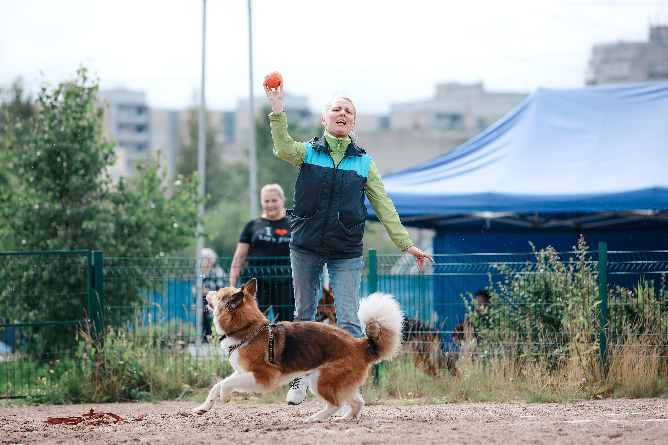 Питч&Гоу + веселые старты. Фотограф-анималист Mary Mart — Москва, Питер