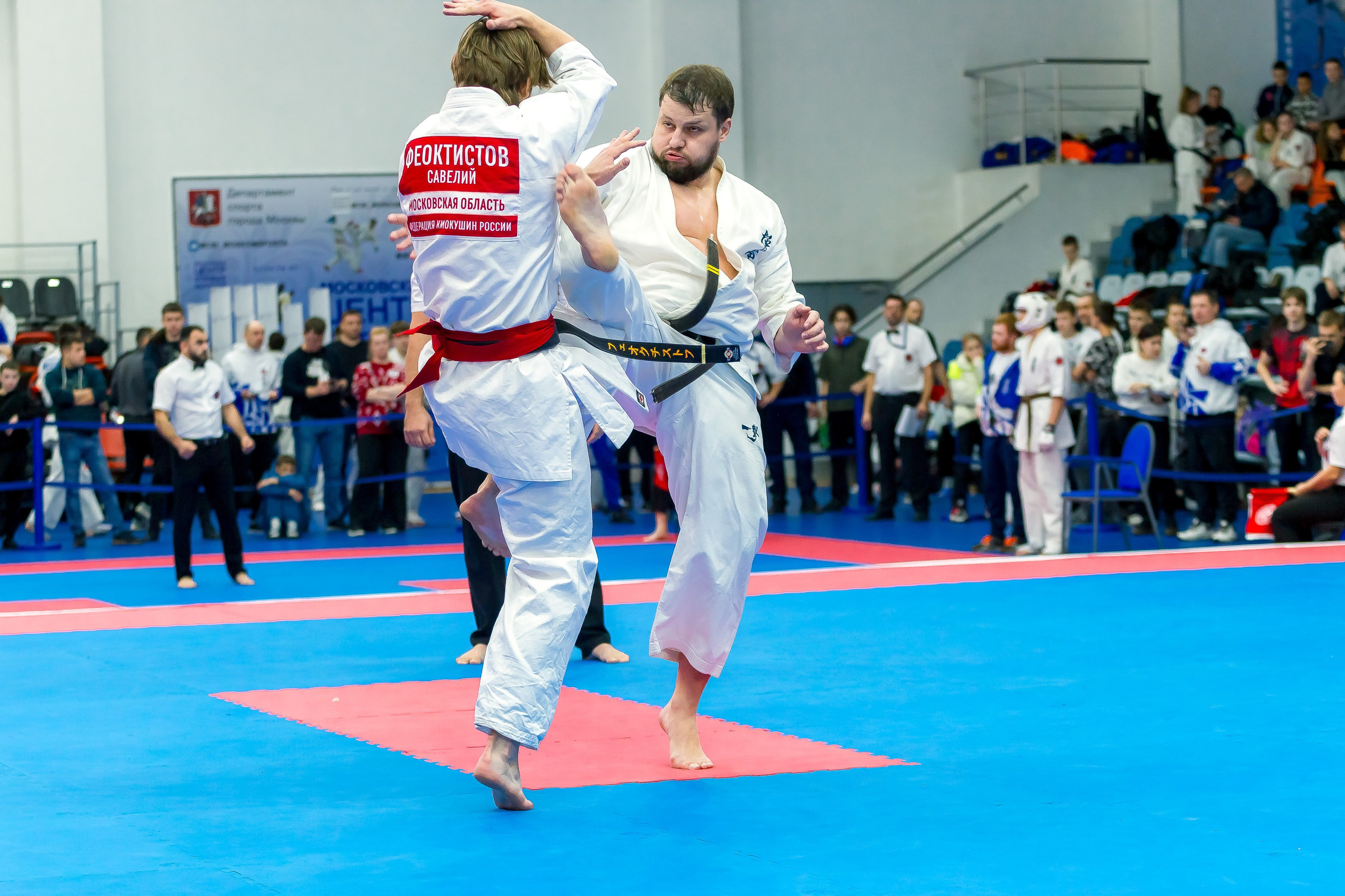 Соревнования по Киокушин памяти С. Увицкого. Репортажная съемка в Москве и области. Анималистика