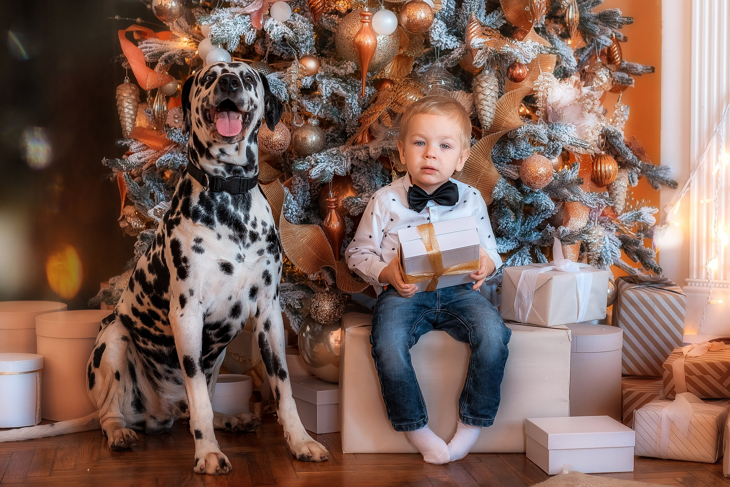 Фотосессия с далматинцем. Семейный, детский фотограф в Воронеже Анна Никитина