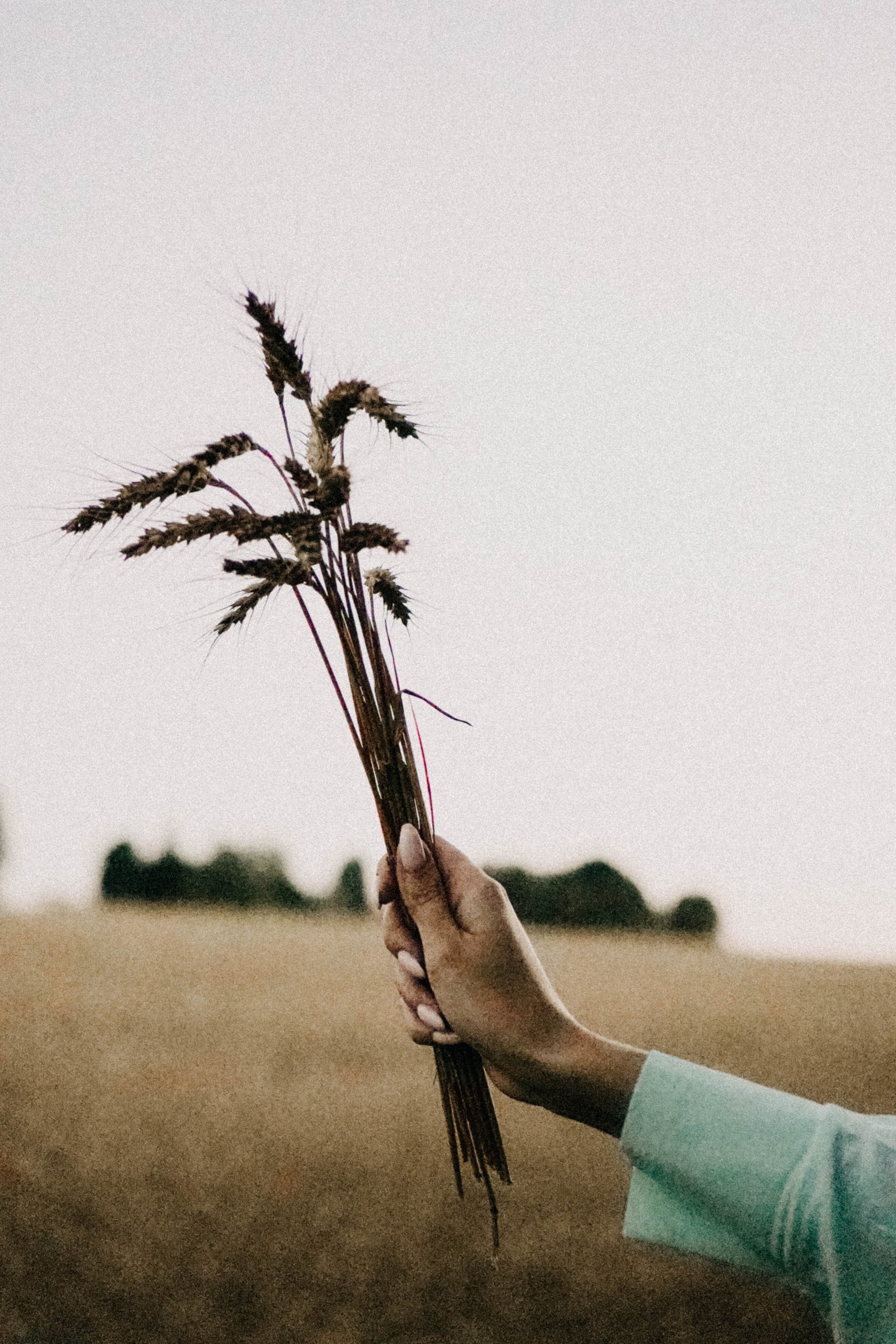 Летний вечер. Профессиональный фотограф, Санкт-Петербург — Виктория Богомолова