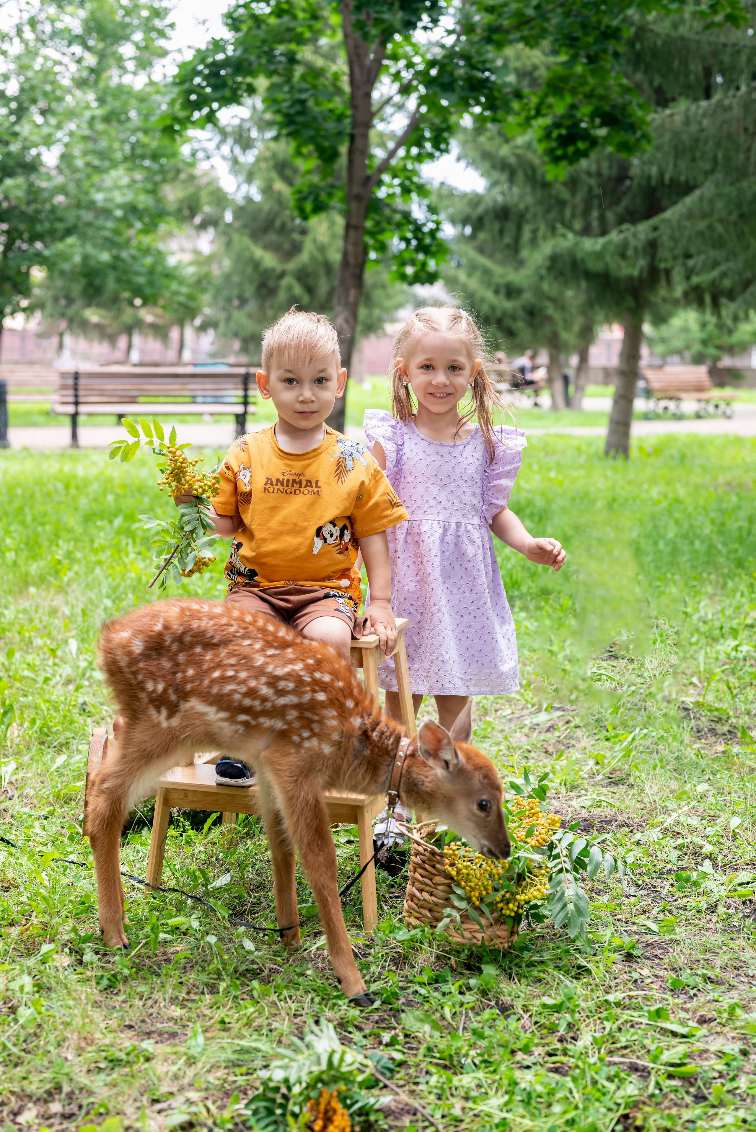 Фотопроект *Оленёнок Бэмби*