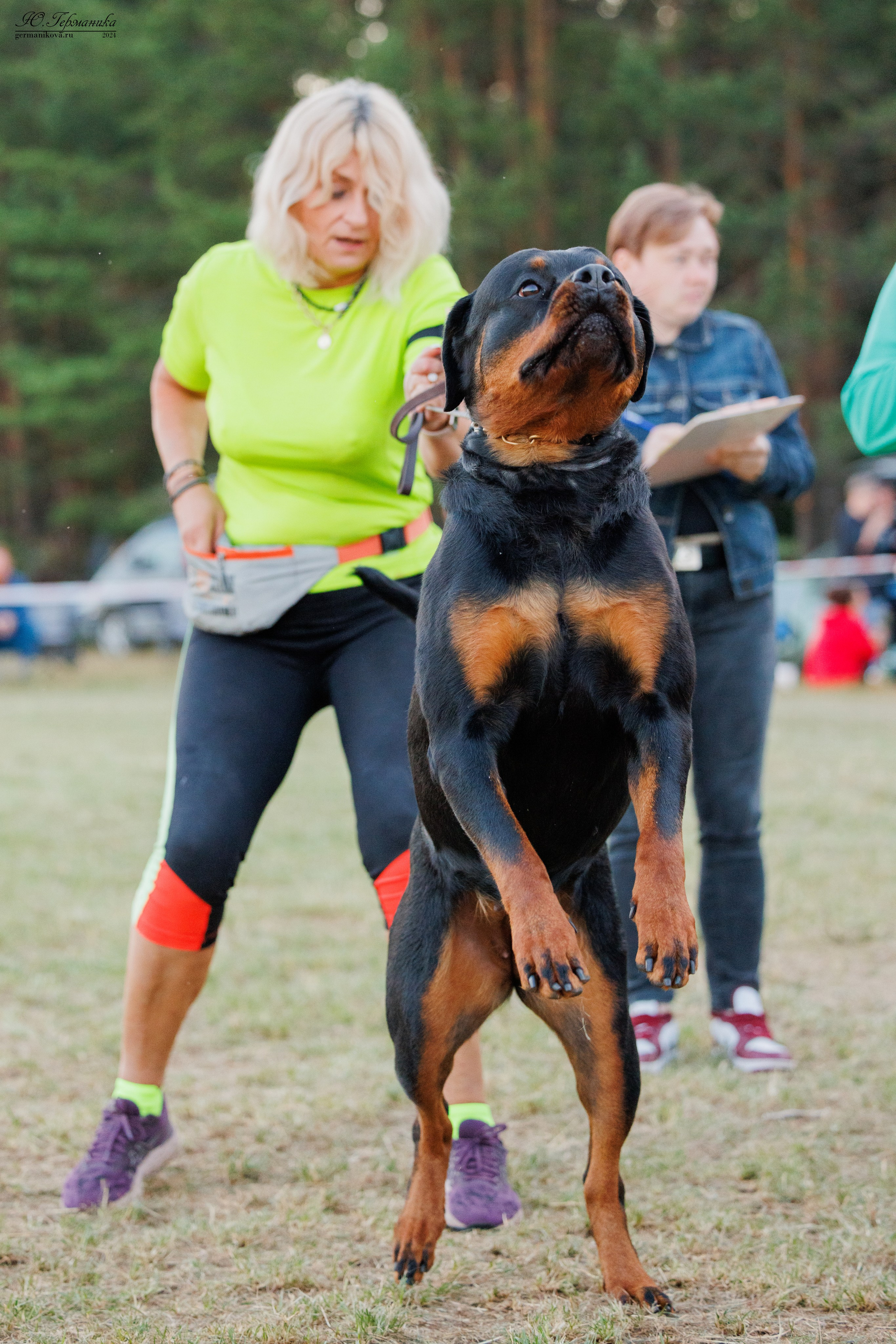 ПК и КЧК ротвейлеры Тверь 6-7.07.2024. Фотограф-анималист Юлия Германика