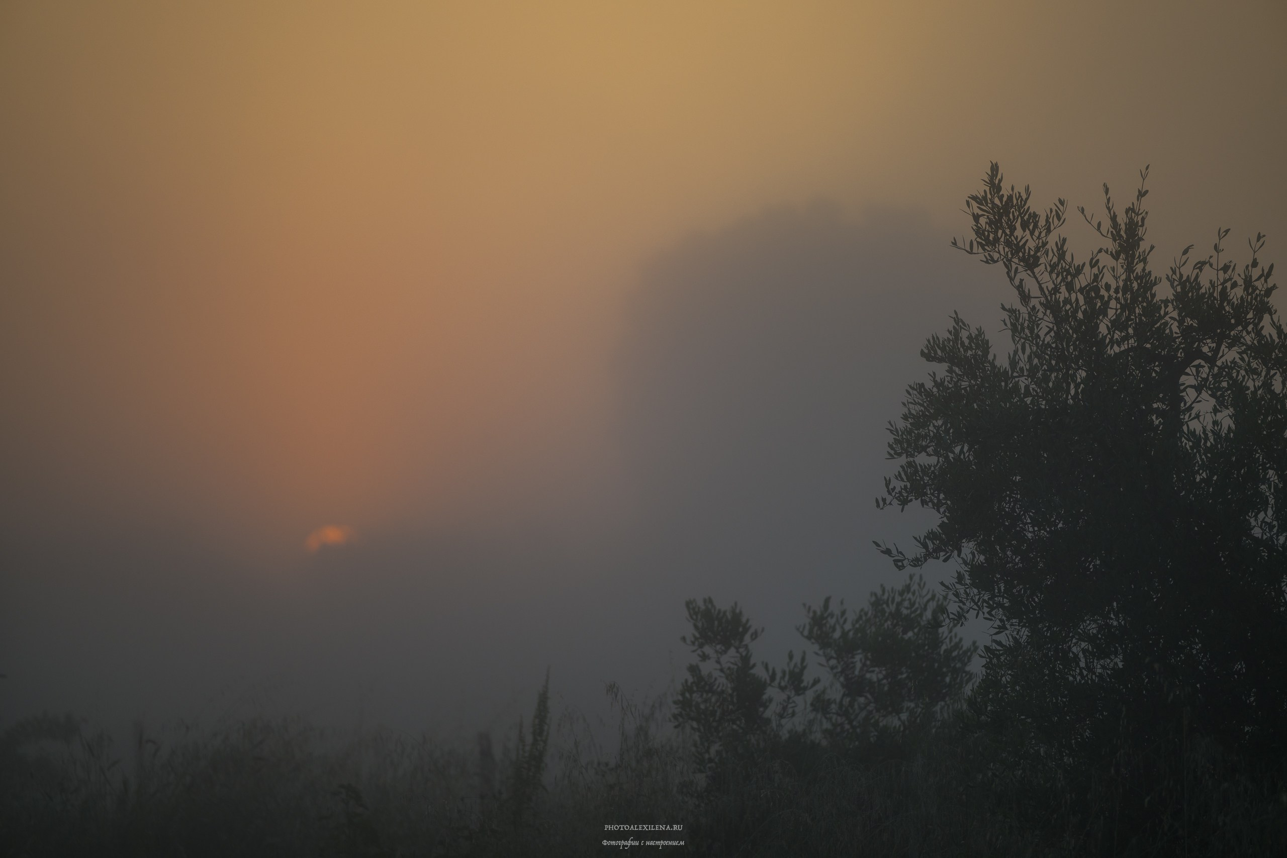 Великолепная Тоскана. Авторские стильные фотокартины