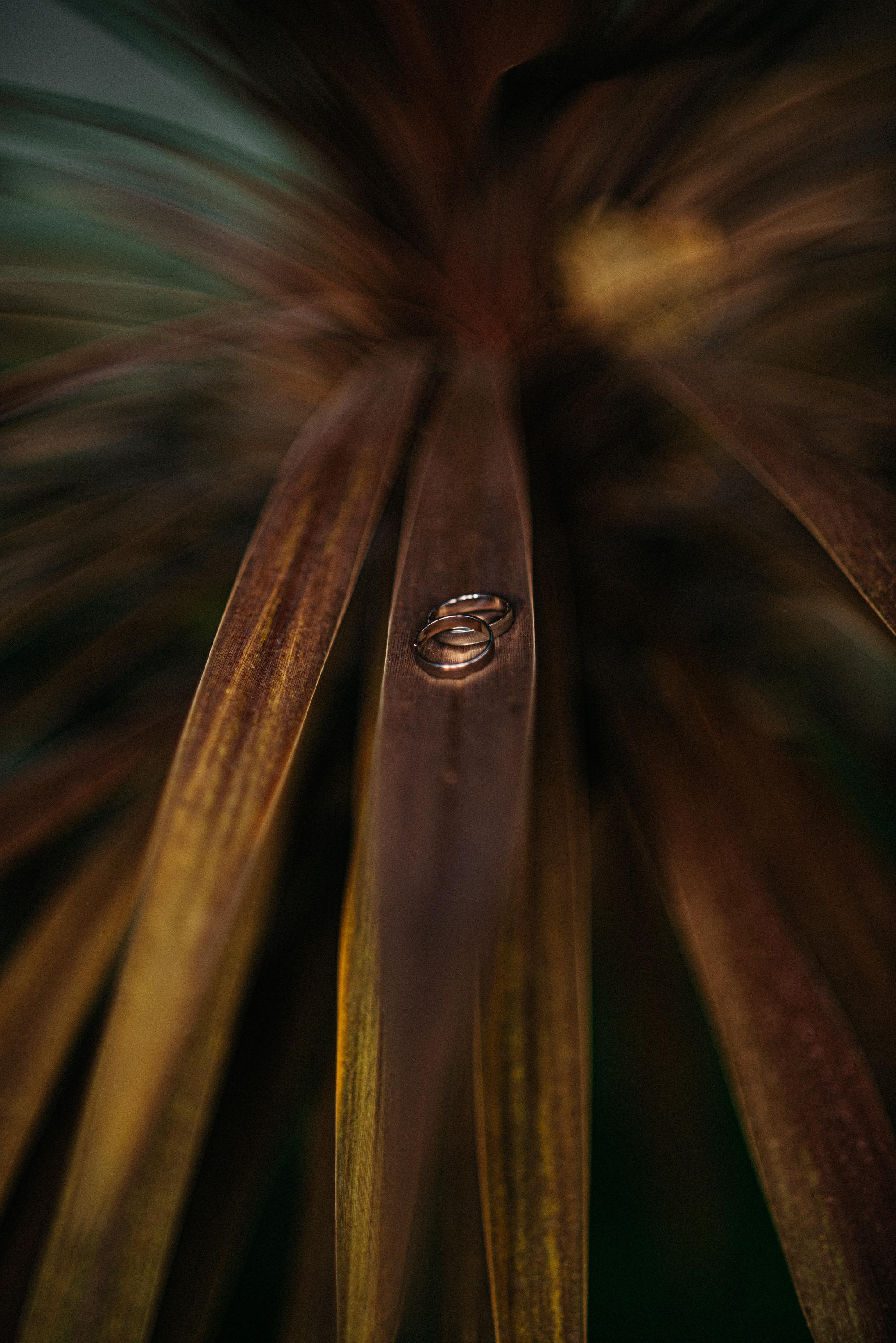 В зимнем саду (Санаторий Металлург). Свадебный фотограф Ижевск Петр Шишков