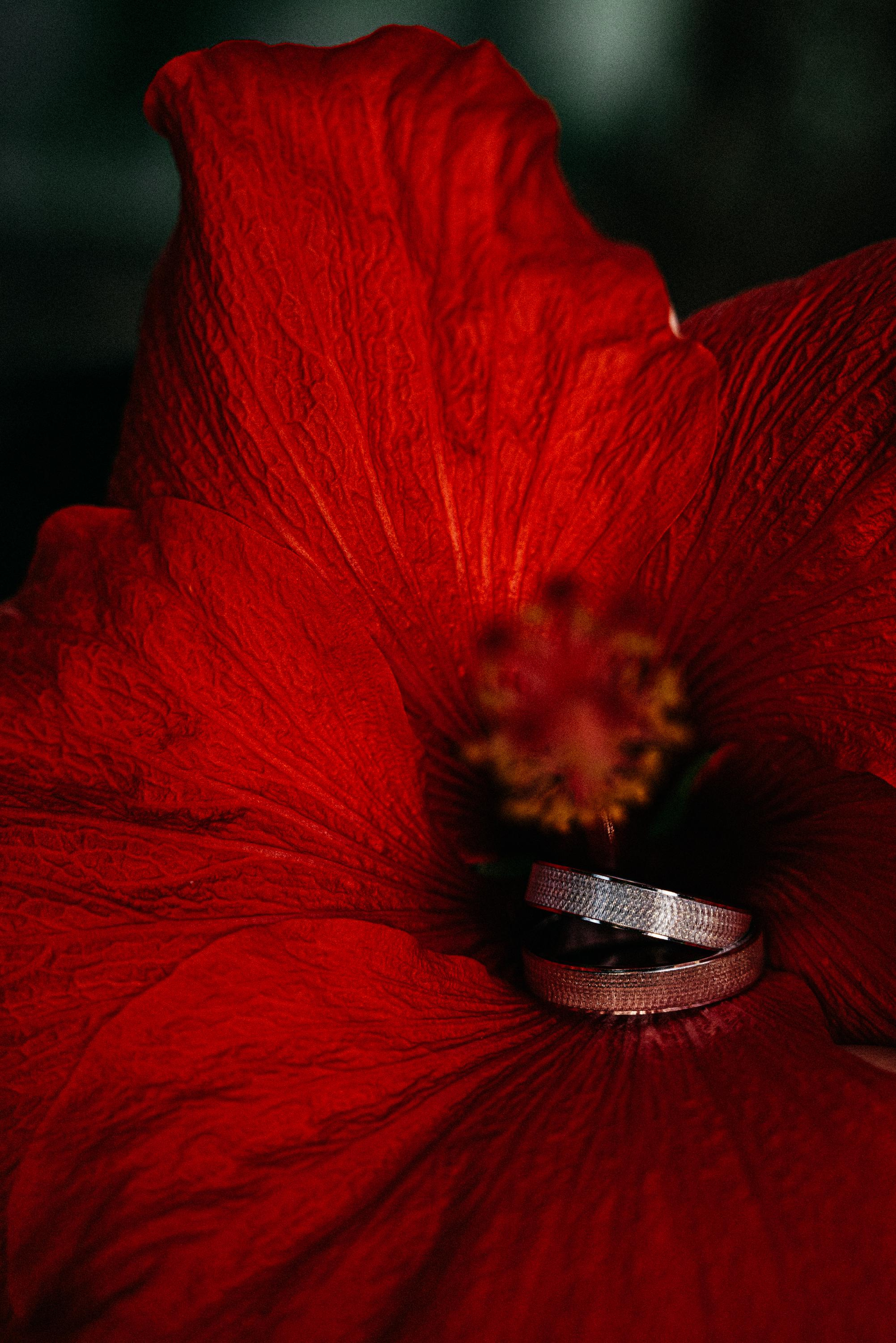 В зимнем саду (Санаторий Металлург). Свадебный фотограф Ижевск Петр Шишков