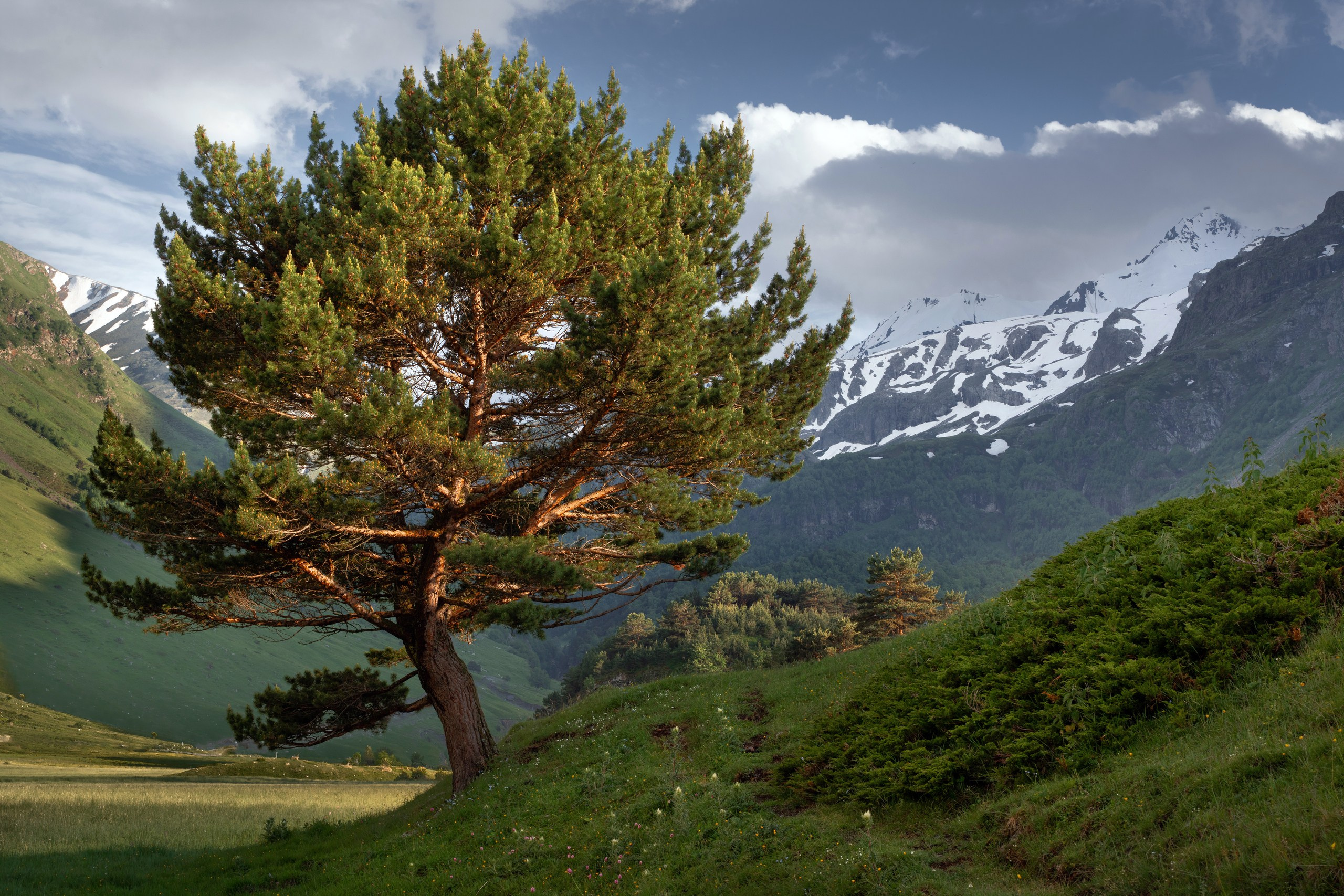 Кавказ. Фотограф в Красноярске Нерозя Александр. Пейзаж, природа, портрет